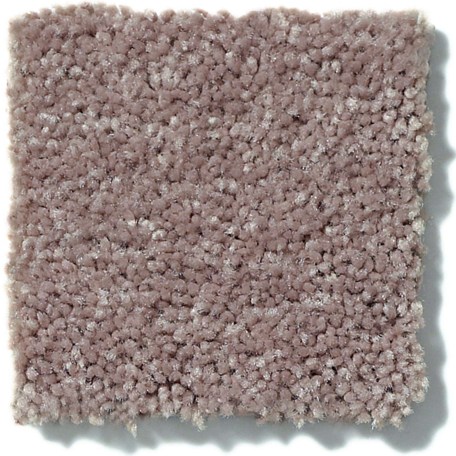 ALL STAR WEEKEND II 12' HEARTH STONE SWATCH