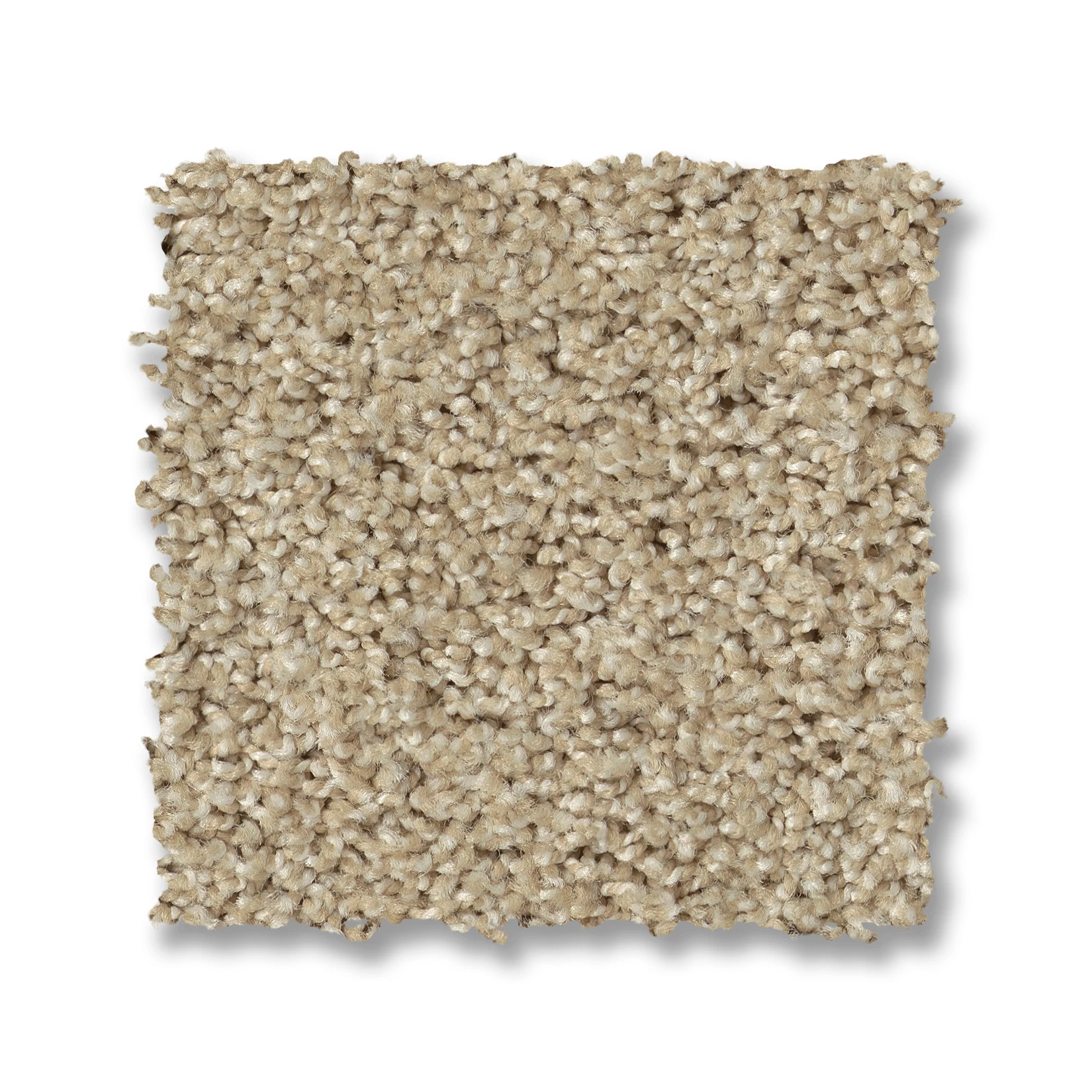 ACADIA PARK SOFTER TAN SWATCH