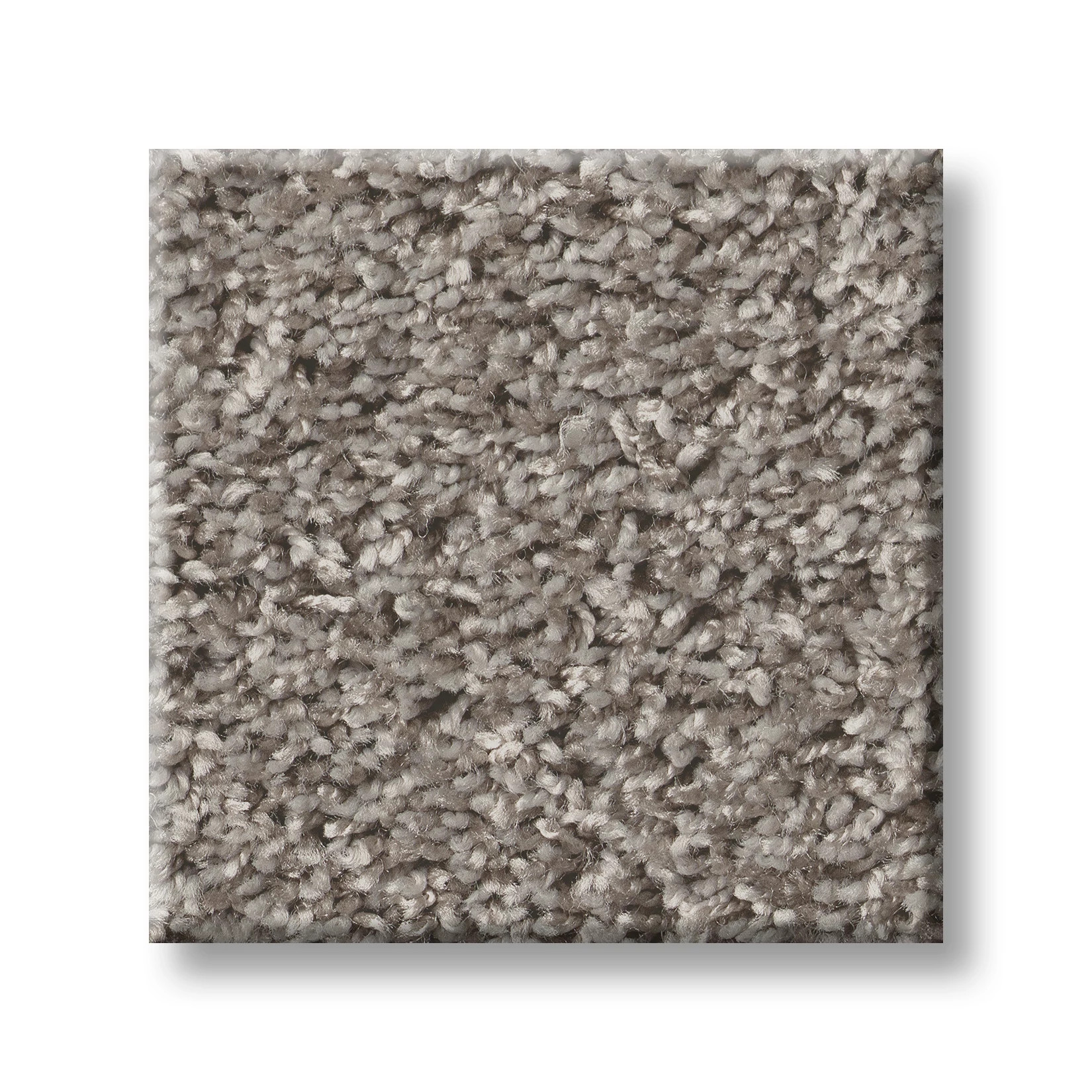 COOL FLAIR DOLPHIN SWATCH