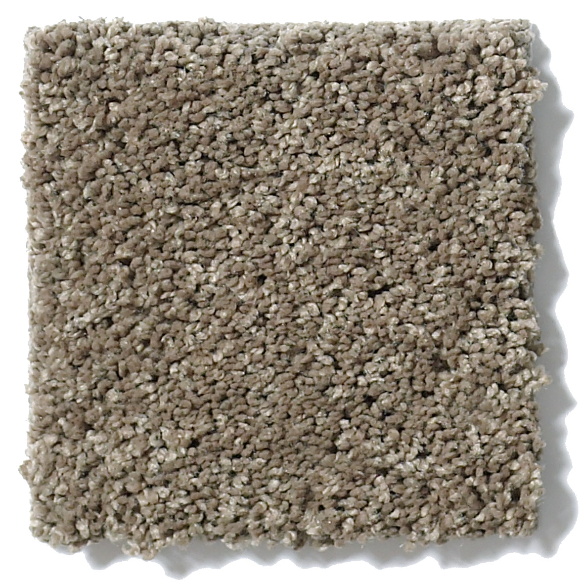 WHY NOT ME KENSINGTON SWATCH