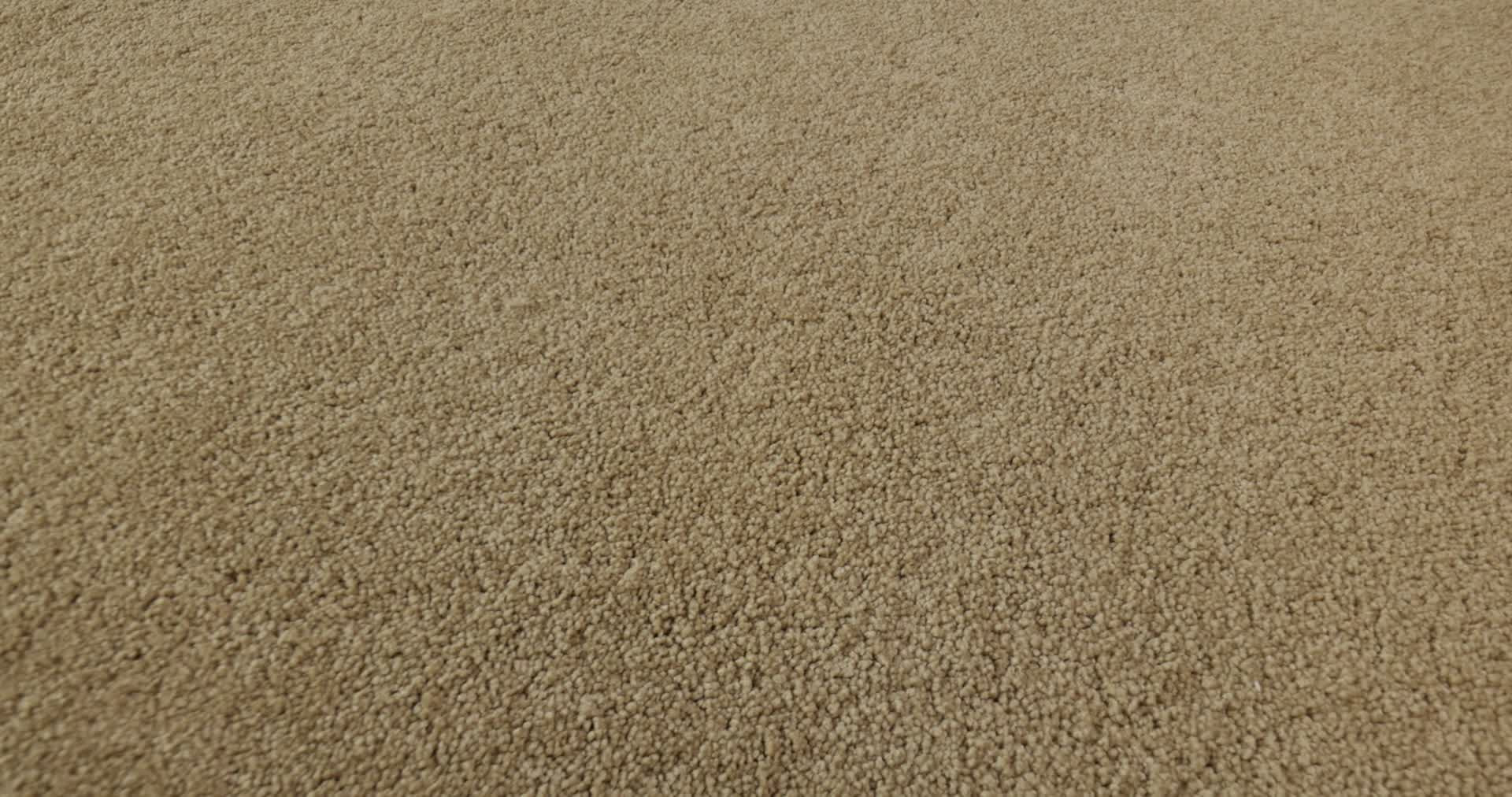 MAJORITY RULES OAKWOOD 360PROD