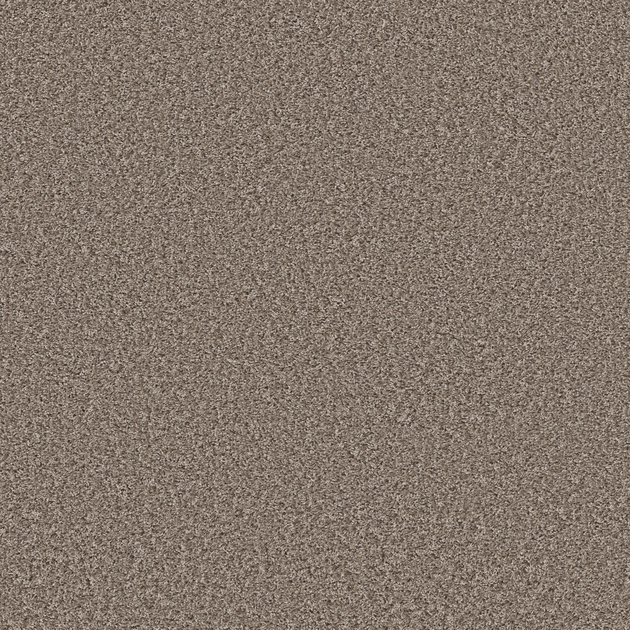 COLOR FLAIR TEMPTING TAUPE MAIN