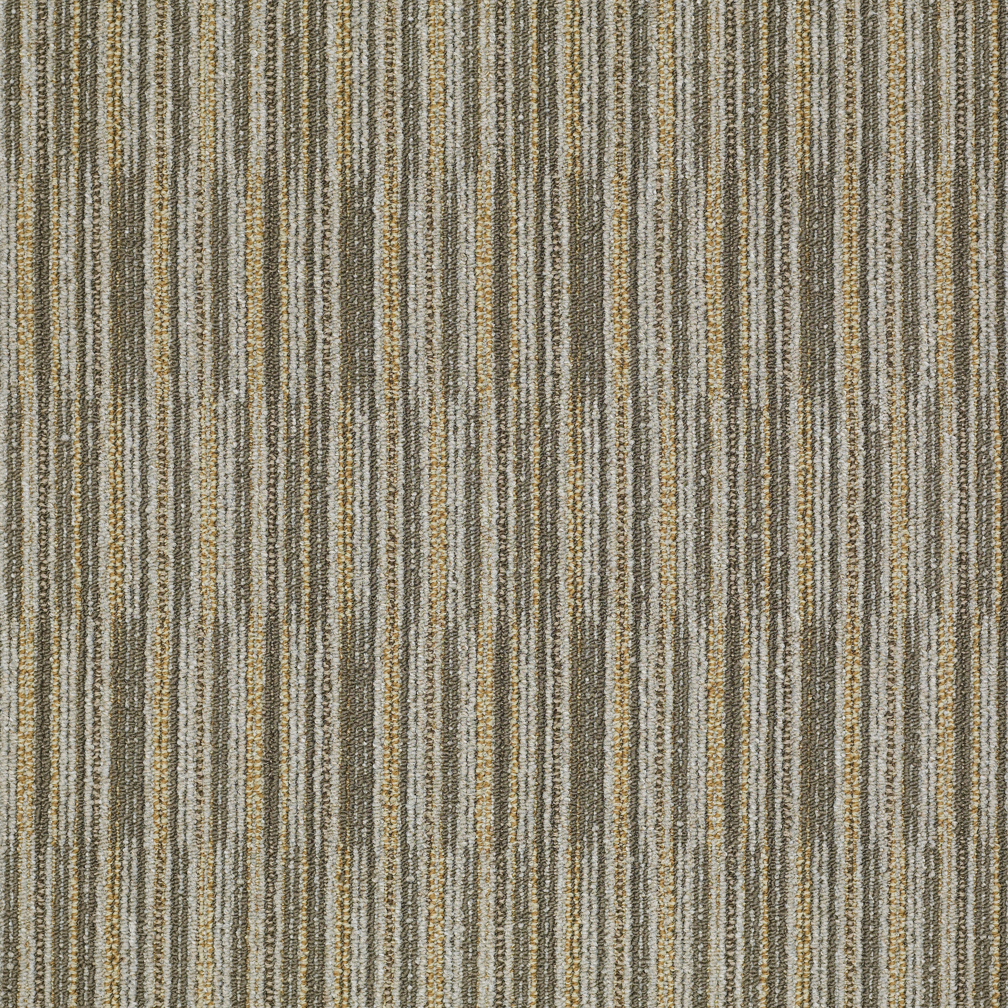 CUTAWAY-J0181-SELECTION-81204-main-image