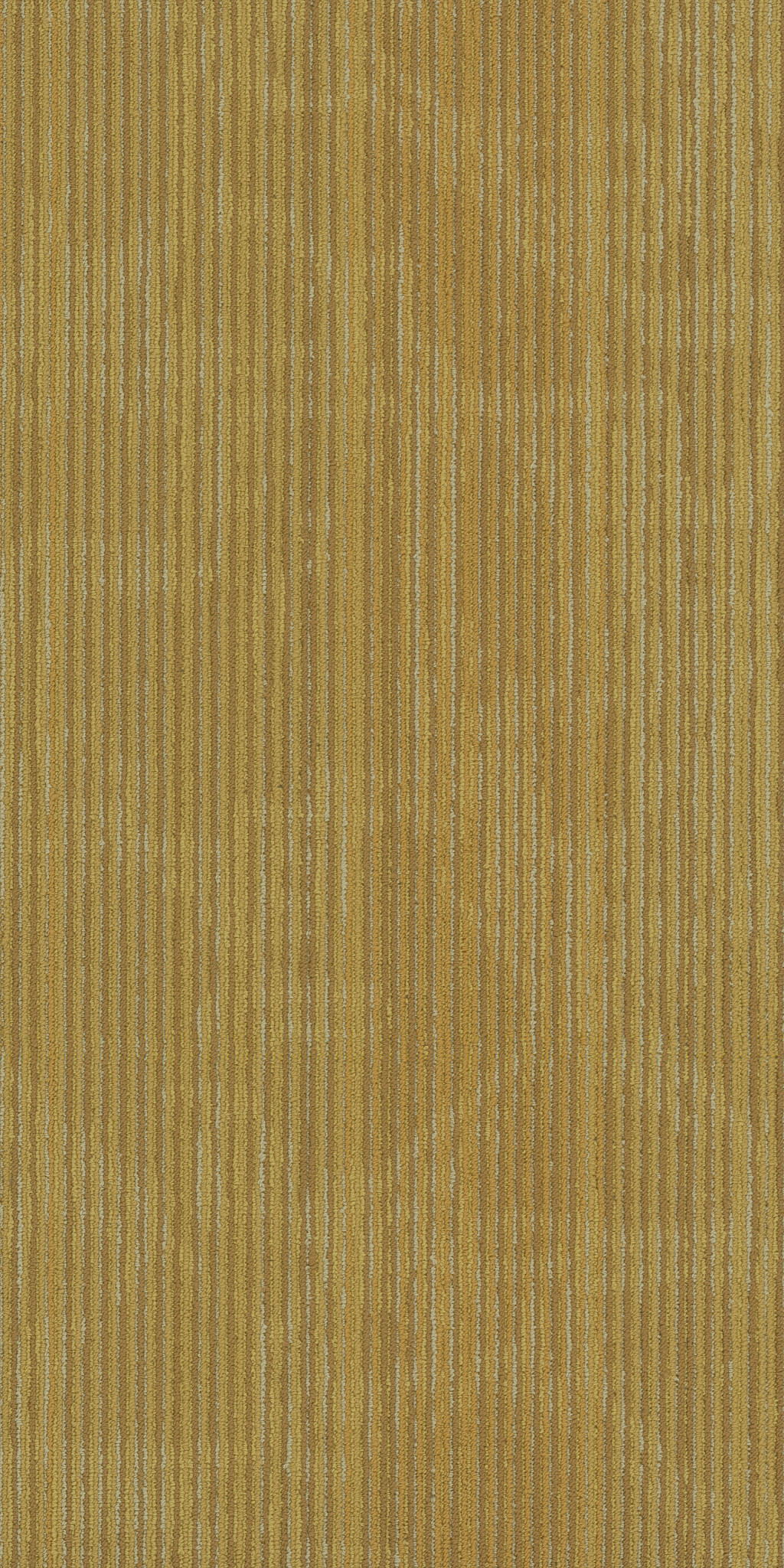 ENCRYPT-54927-VECTOR-00200-main-image