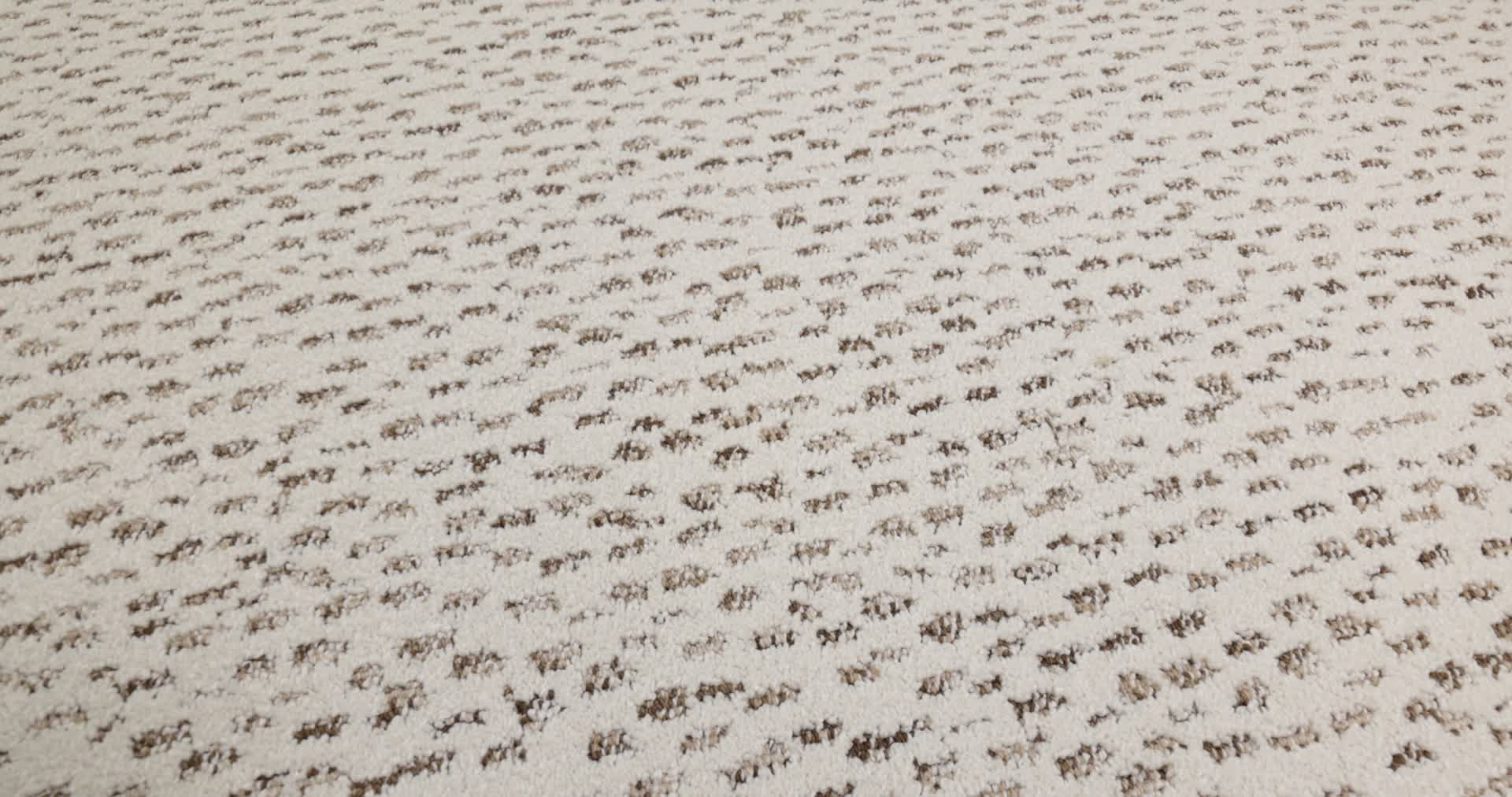 AMBITIOUS VINTAGE FIND 360PROD