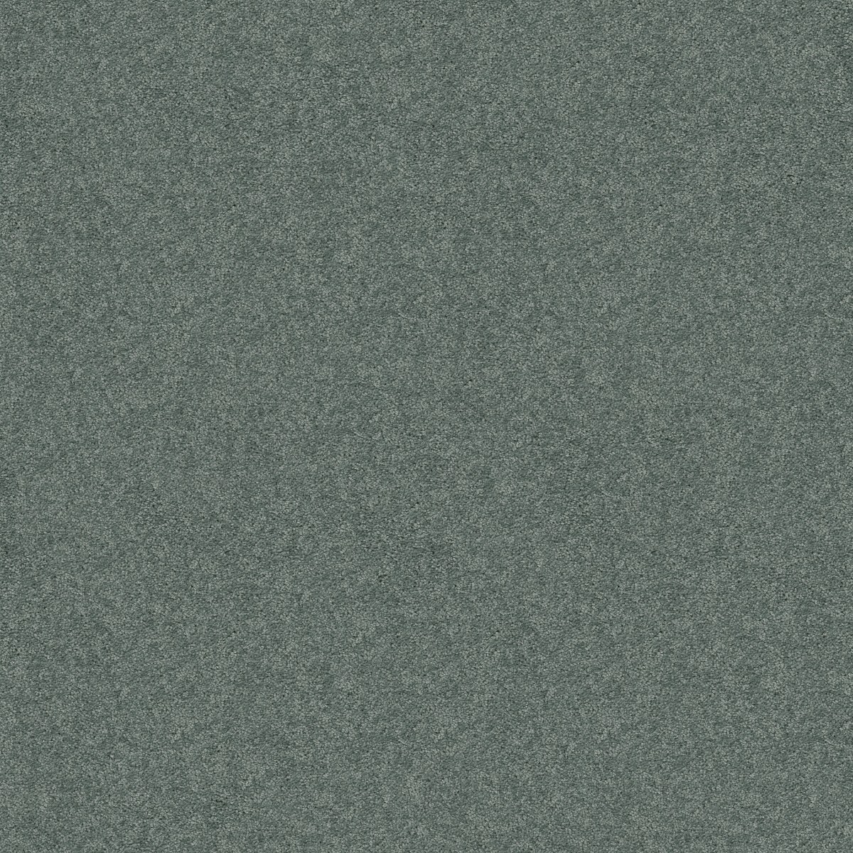 Shaw Floors ESSAY II 12' — BAHAMA BAY