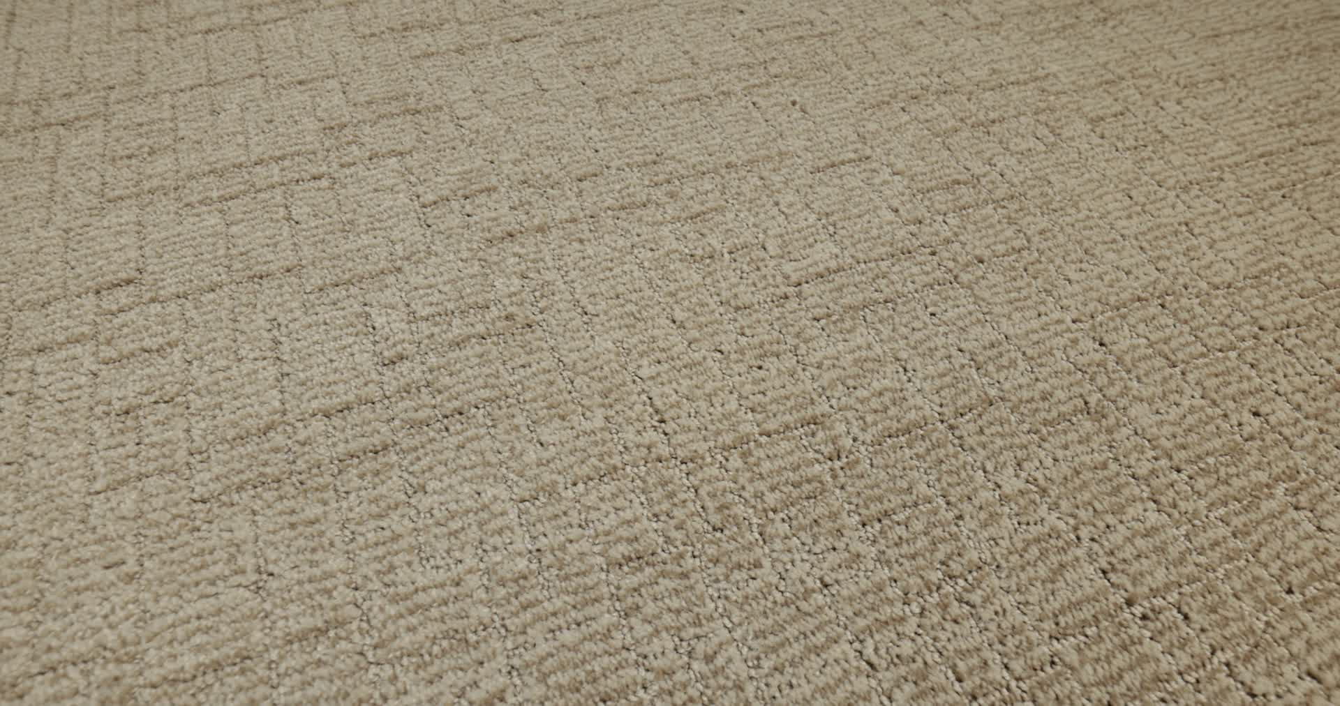 WAYFARER PEANUT SHELL 360PROD