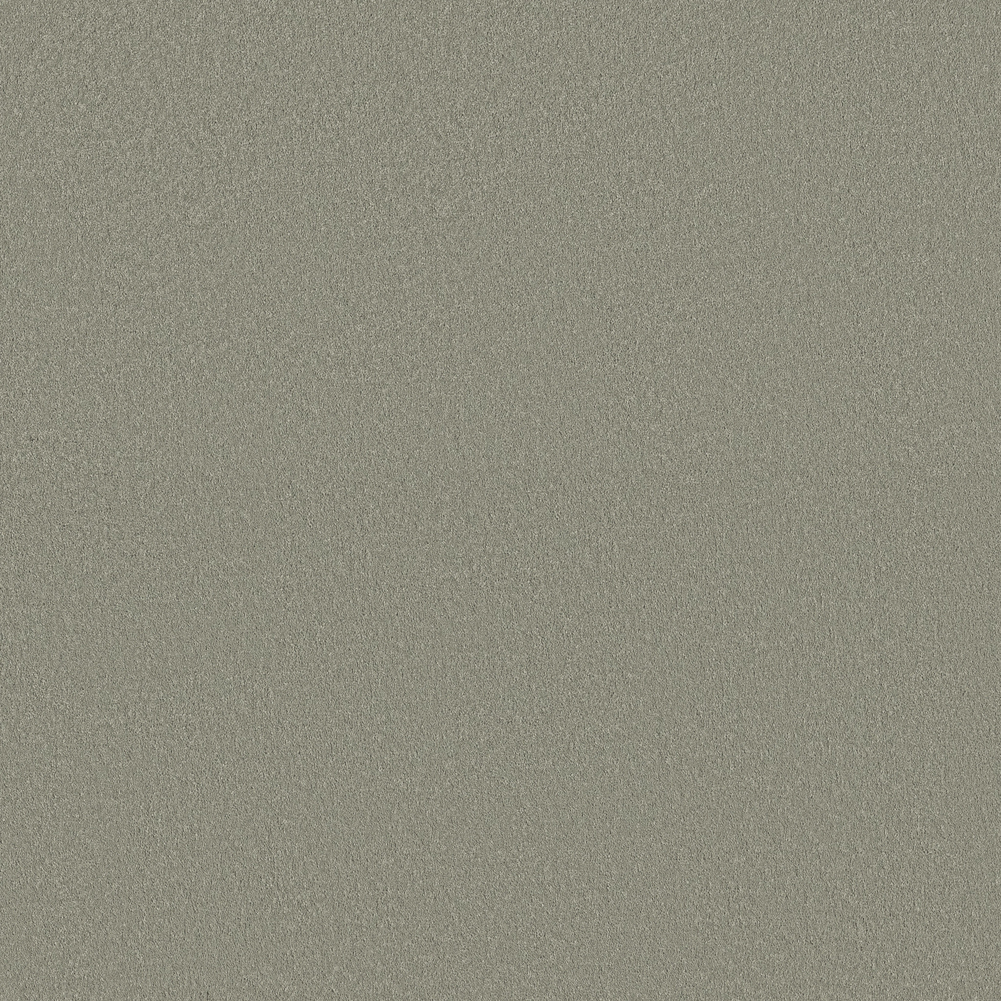 SMOOTH TONE BLUE FROSTED SAGE MAIN