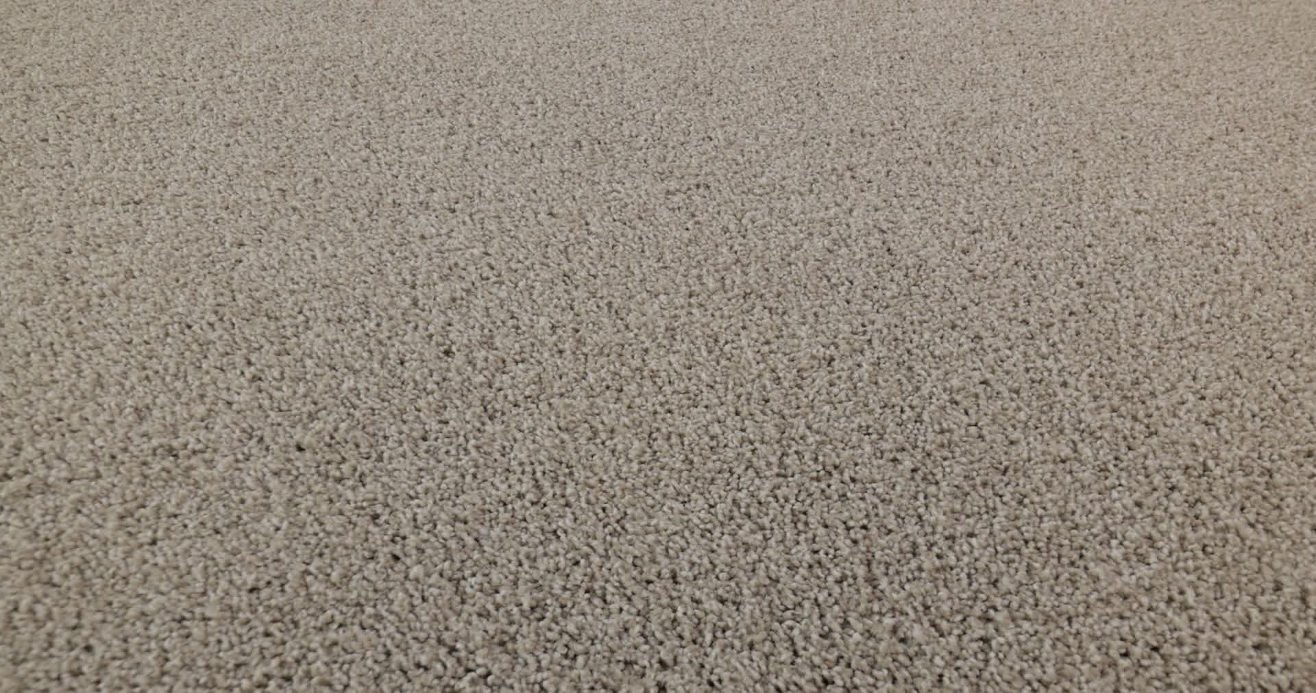 WHAT'S UP CATNIP 360PROD