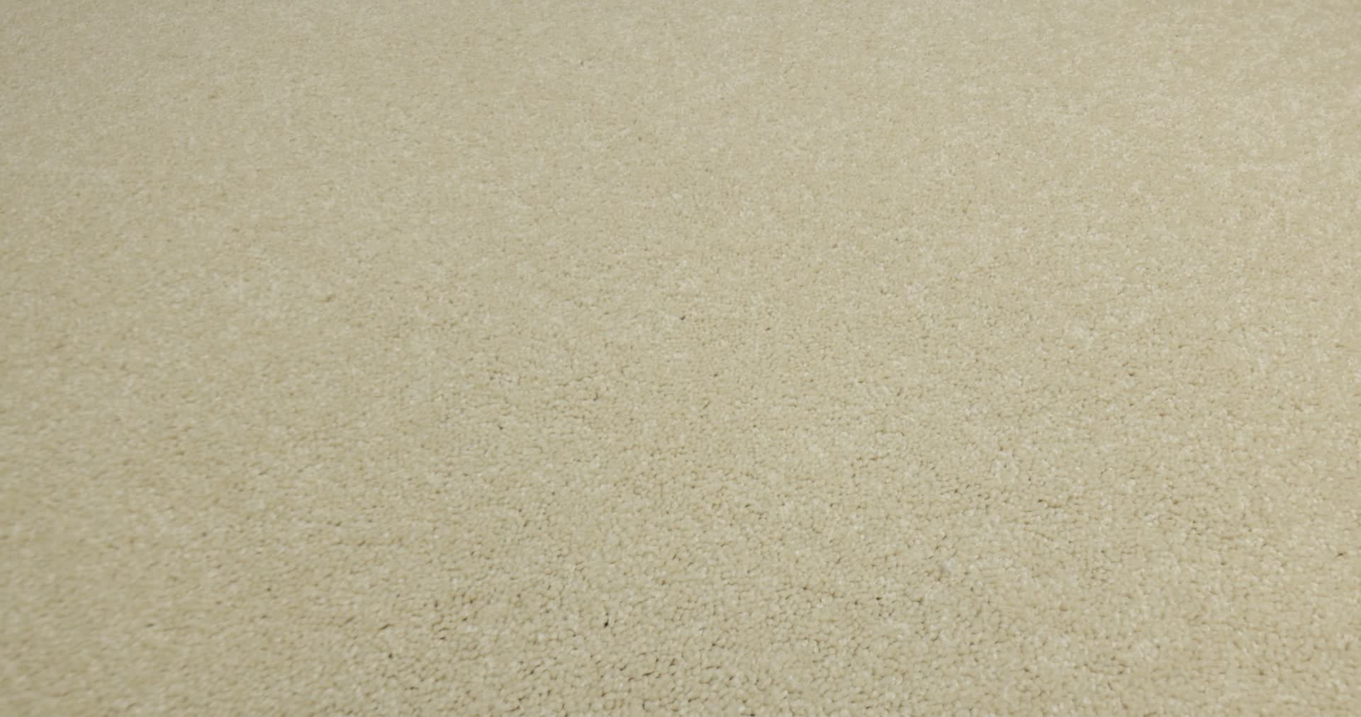 TIMELESS APPEAL III 12' ALMOND FLAKE 360PROD