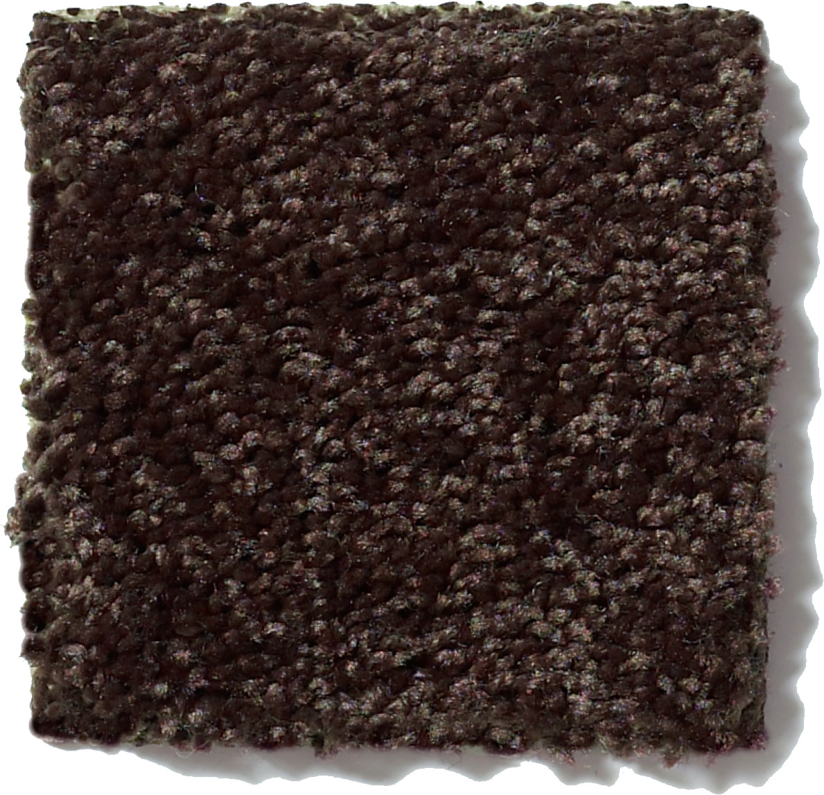 ALL STAR WEEKEND III 15' COFFEE BEAN SWATCH