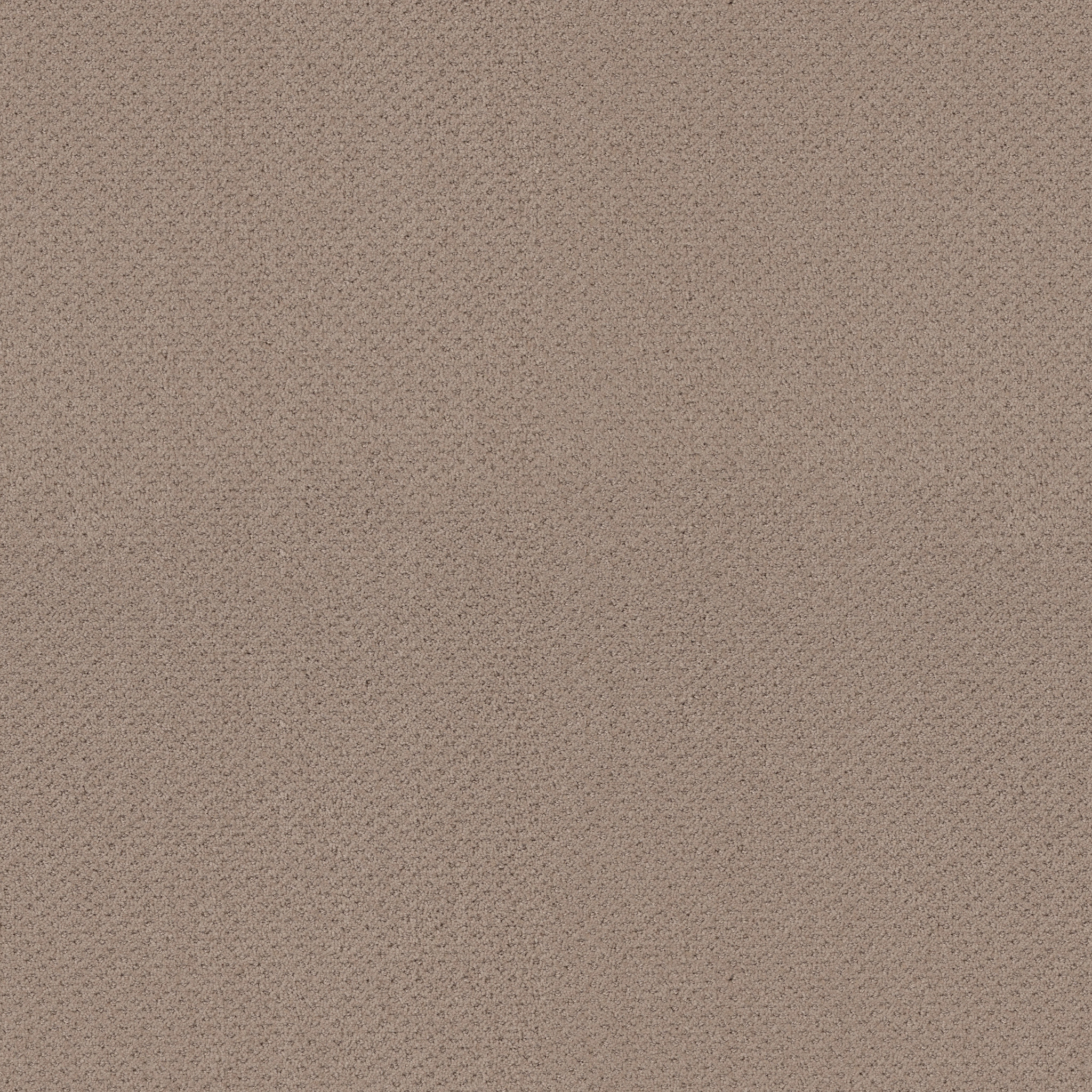 AUSTIN PARK PURE EARTH MAIN