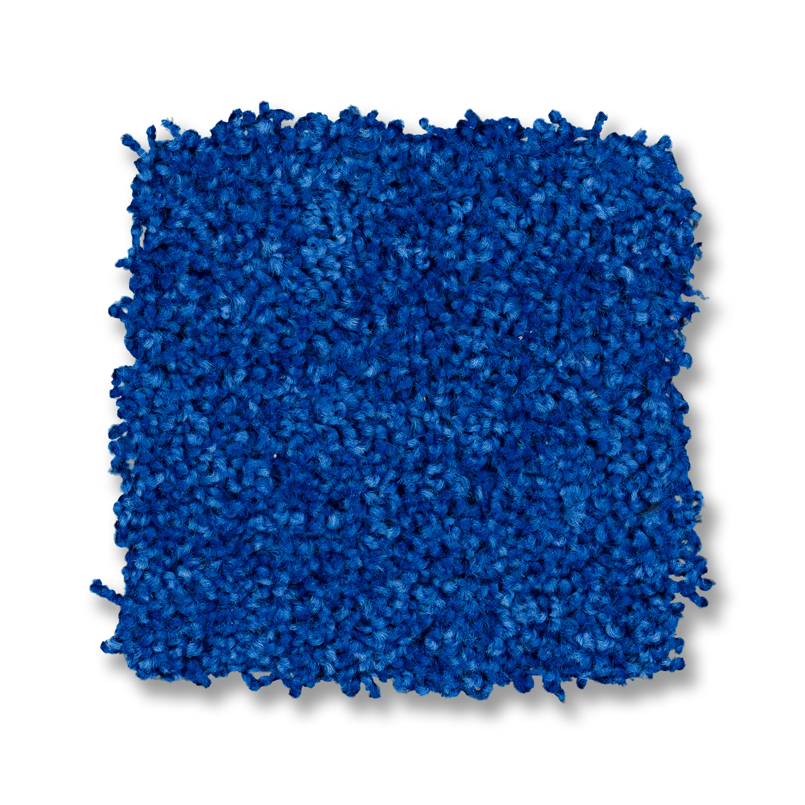 BRICEVILLE CLASSIC 12 COBALT SWATCH