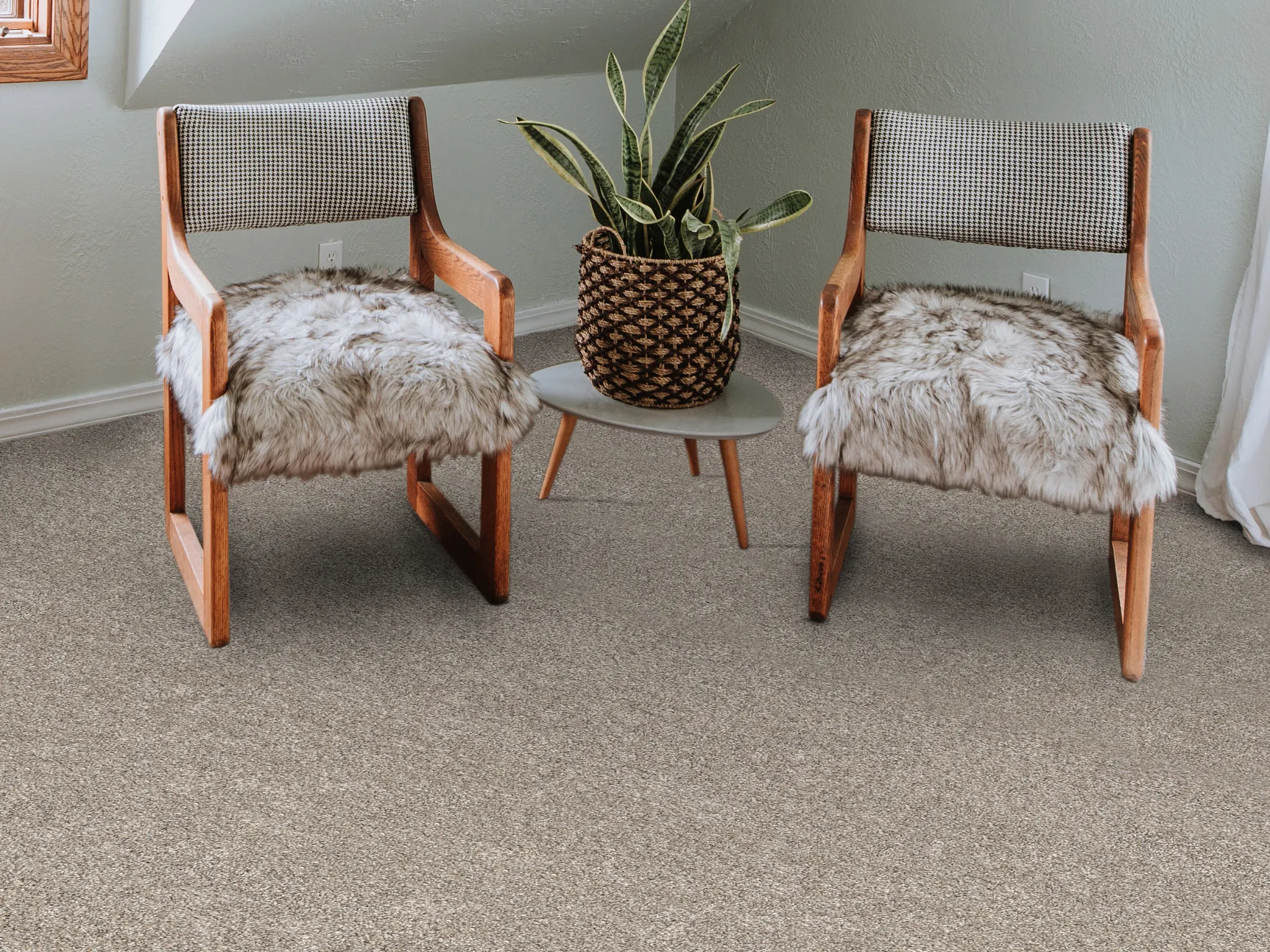Cozy bedroom with beige carpet flooring, dark blue dresser, and polka dot bedding for a comfortable home feel