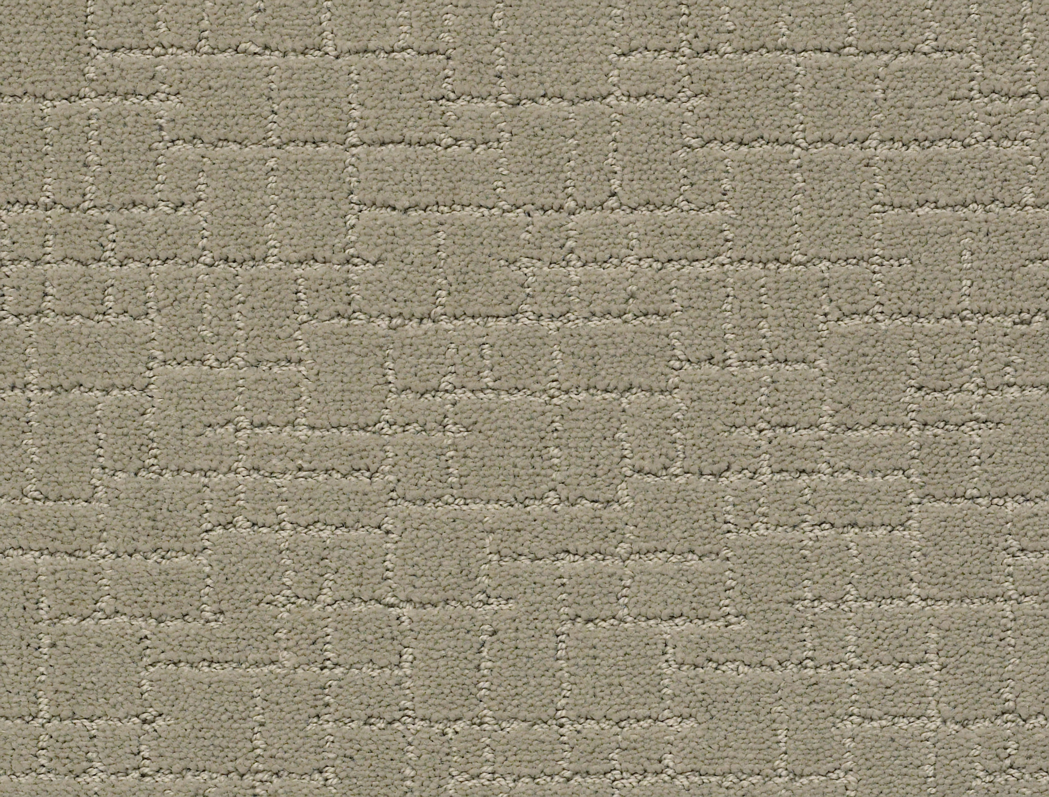 FAUX PAW GRAY MIRAGE MAIN