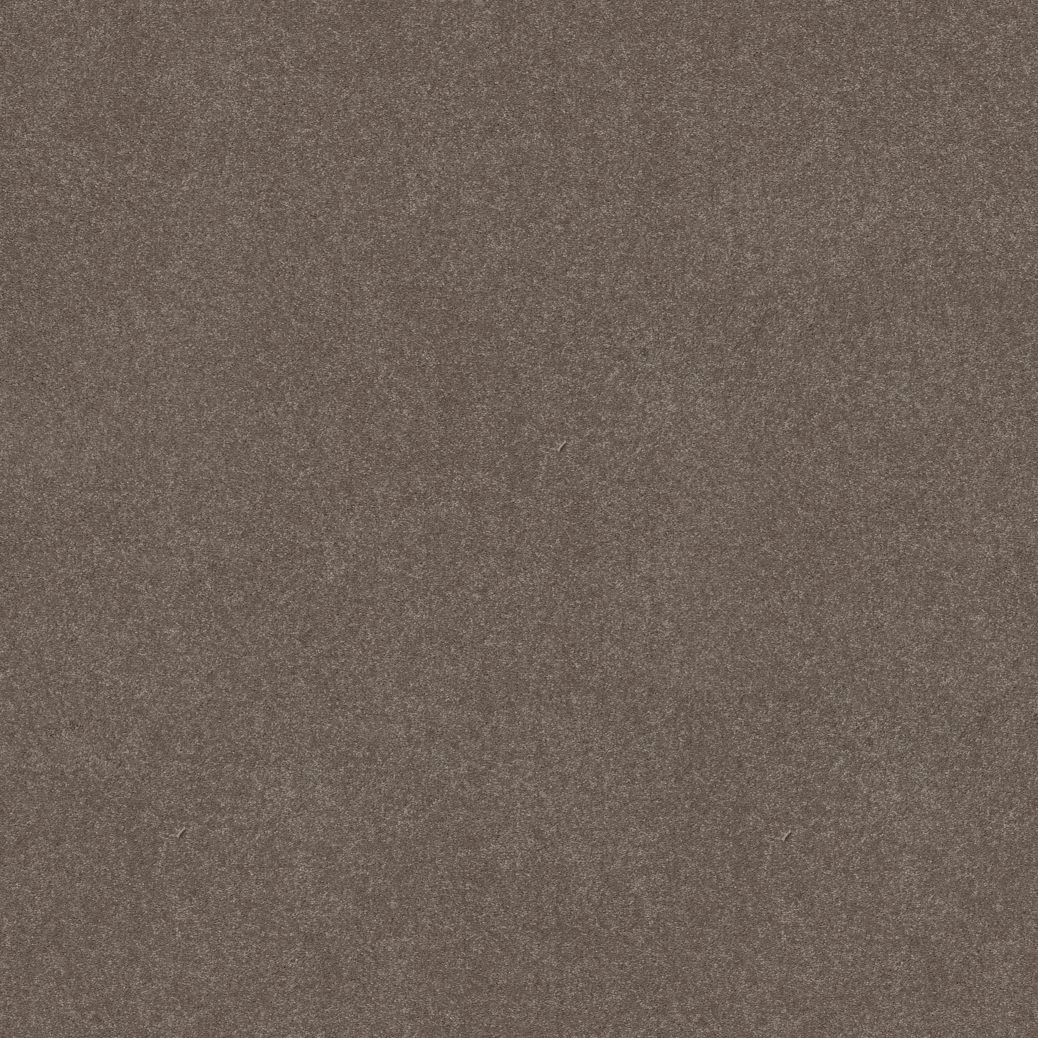 EASY SPIRIT I 12' PEWTER MAIN