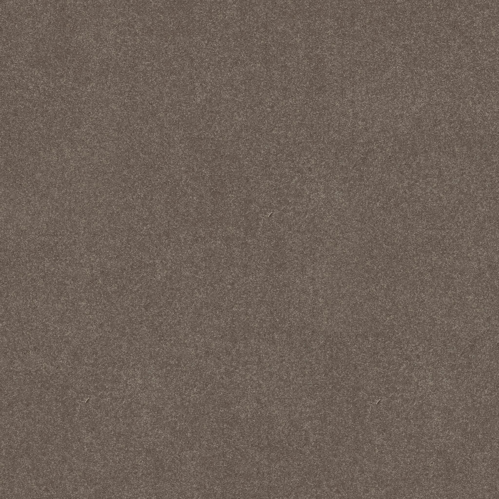 Solidify I 12' in Pewter