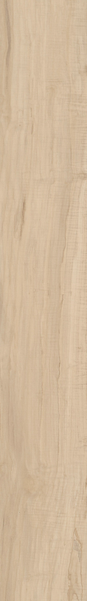 ENDURA PLUS SPALTED MAPLE 1TO1