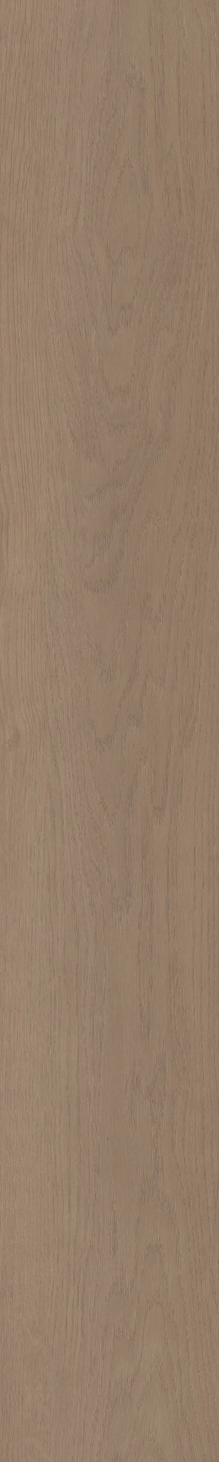 HOMEWARD SADDLE BROWN 1TO1
