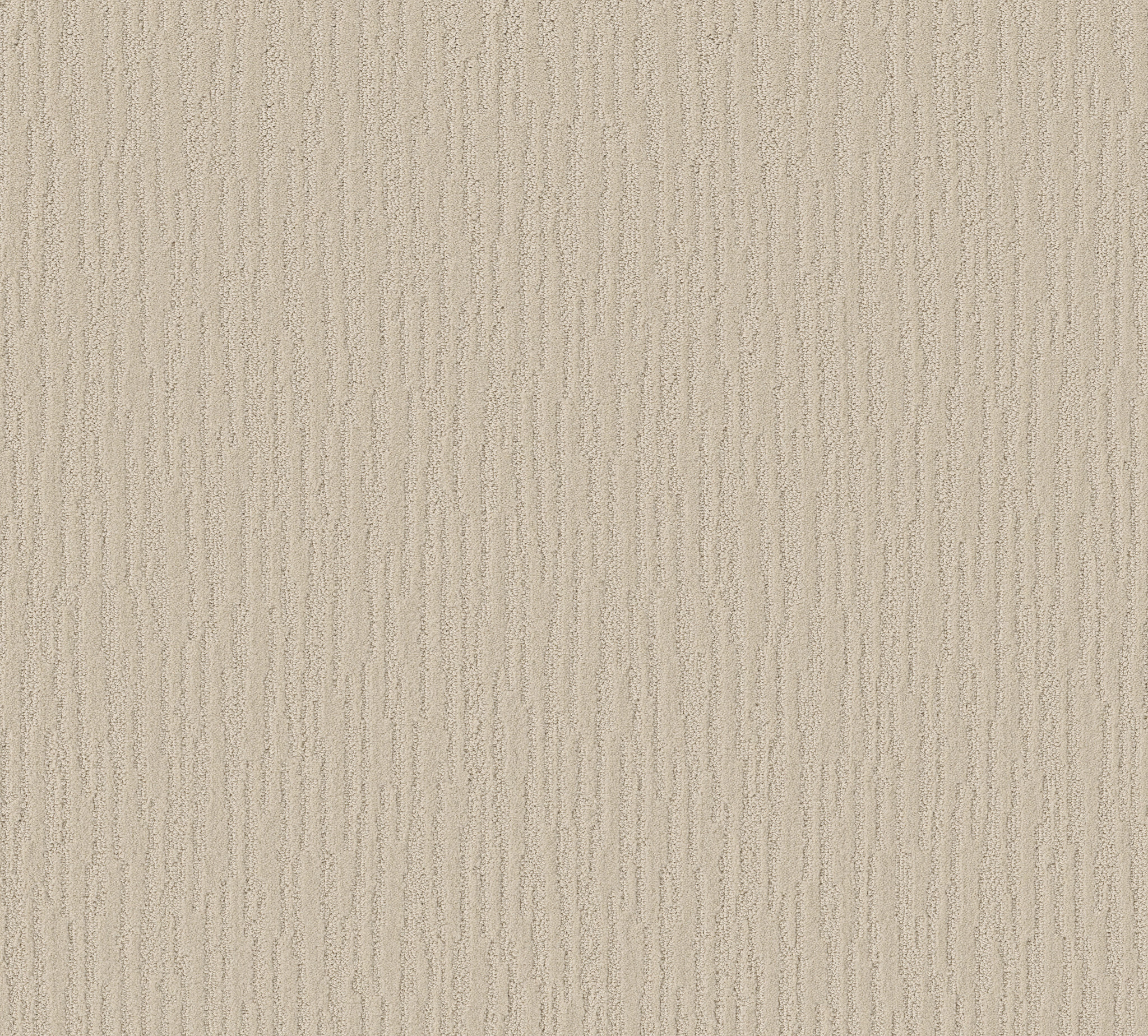 SUNBROOK CANVAS MAIN