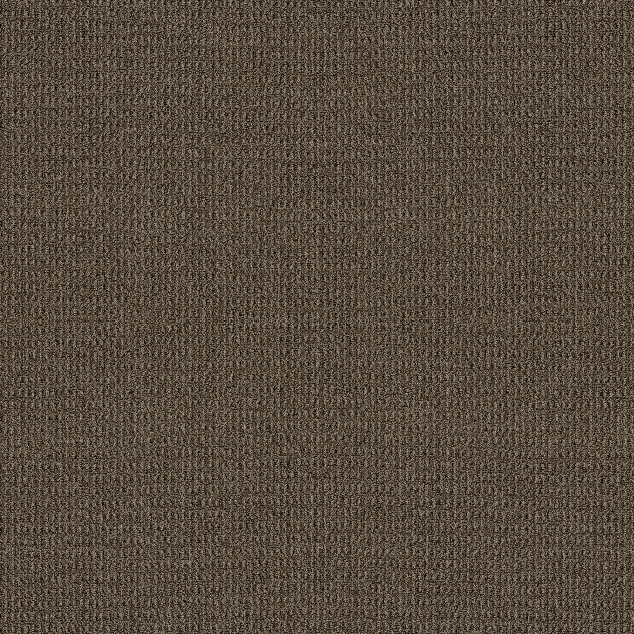 Portofino in Shitake