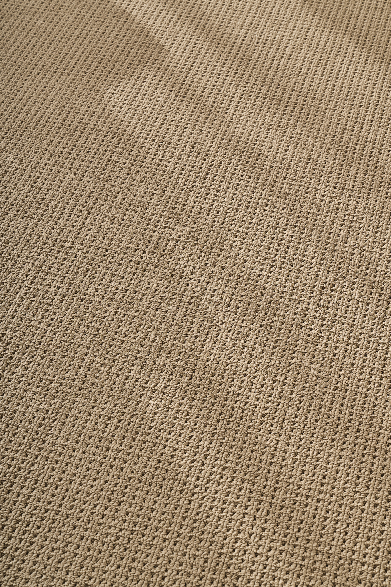 SAN LUCAS GOLDEN StaticImage03