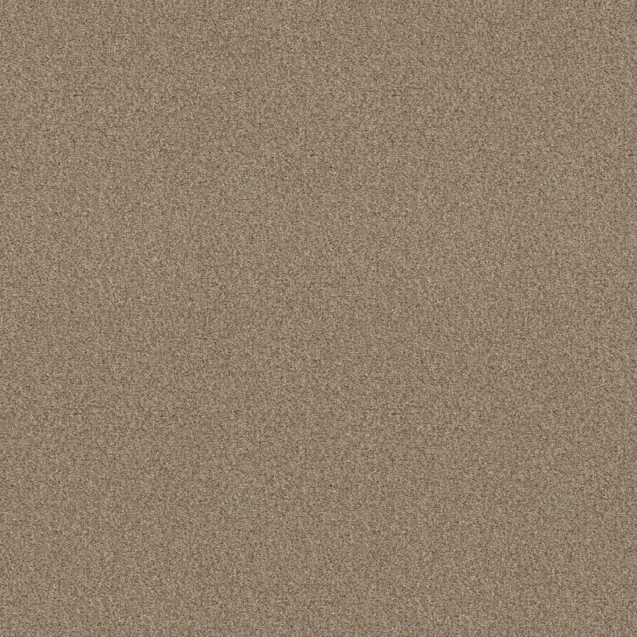 Find your comfort I - Tonal HONEY TEA (T) MAIN