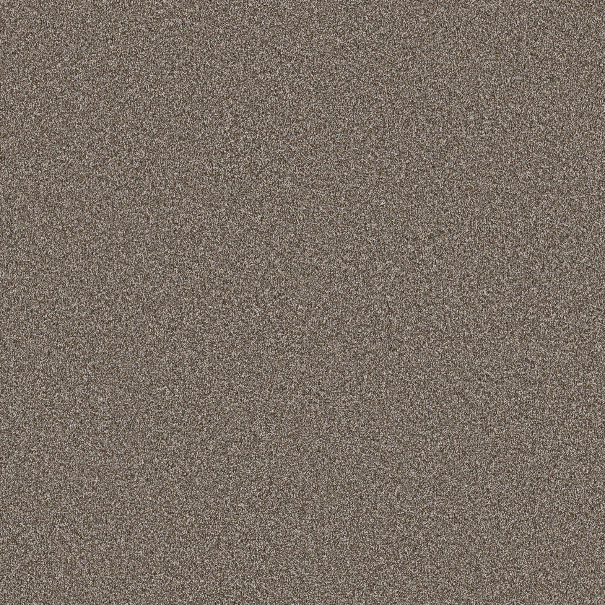 ARTISTIC FUSION II CASHMERE MAIN