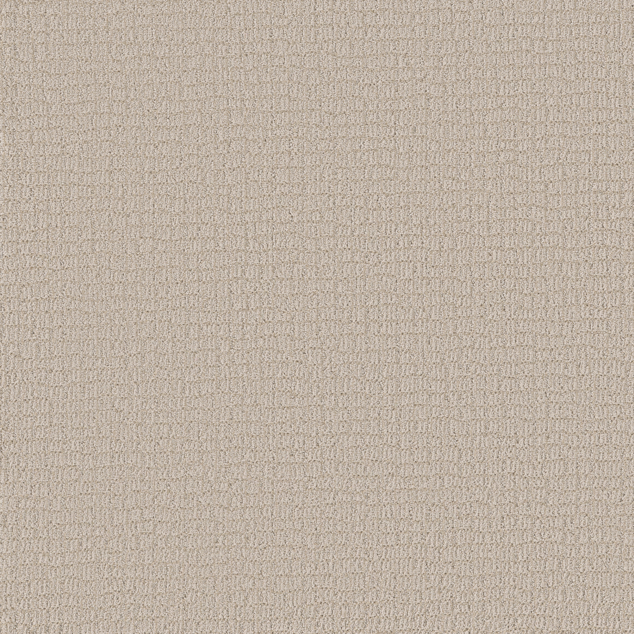 PATH HOME NATURAL MAIN