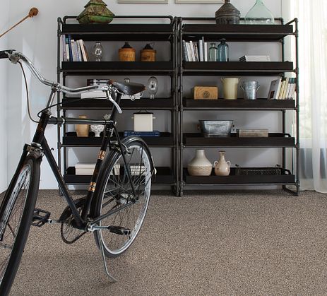 Multicolored carpeted living room with bookshelves and a bike