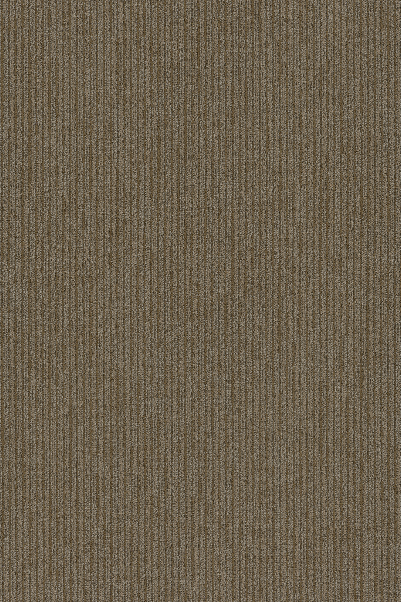 FUNCTION-54908-CORPORATION-00210-main-image