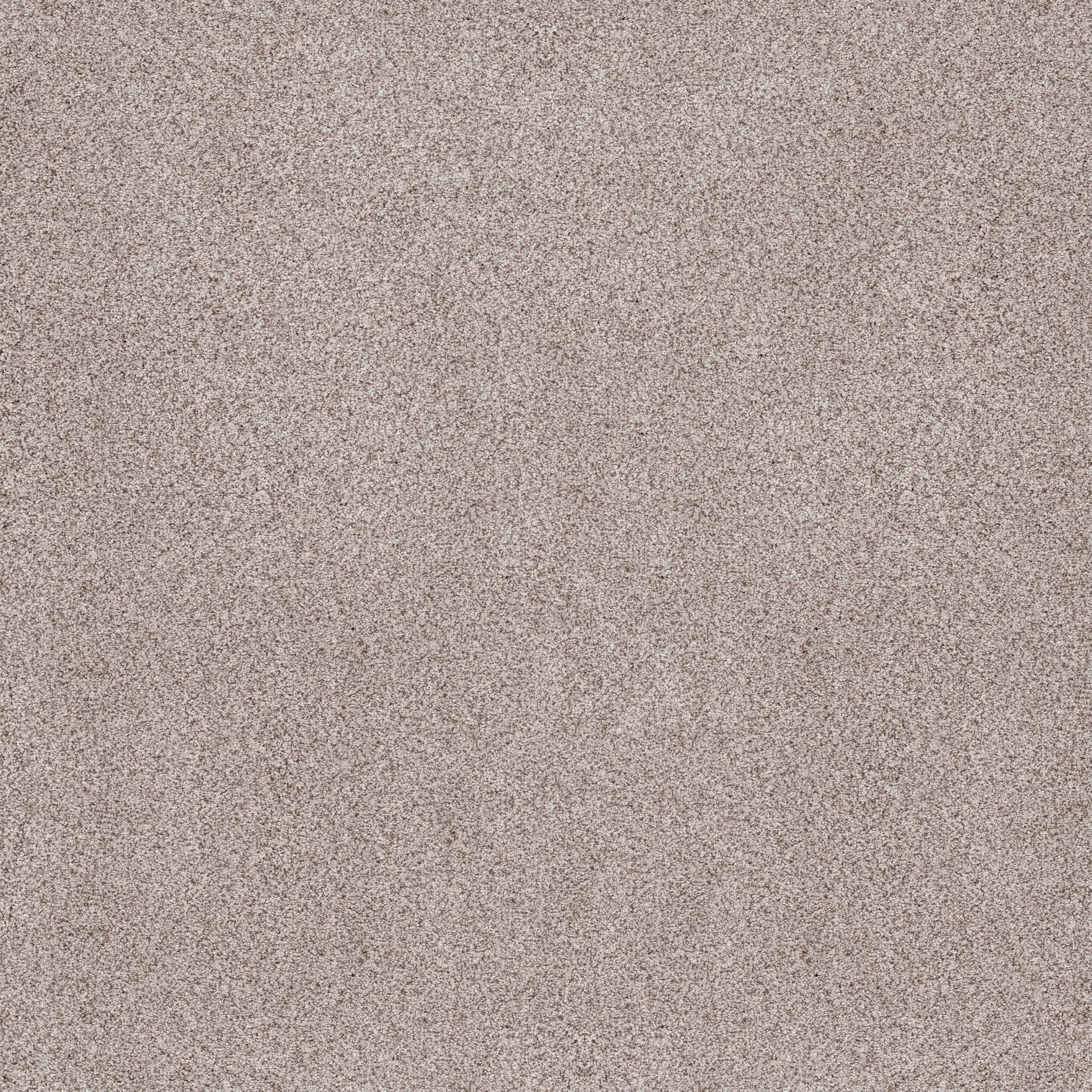 SUMPTUOUS II FIRST STAR MAIN