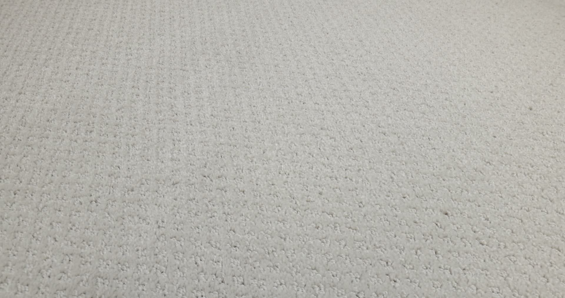 MAINSTAY SPLIT SEDIMENT 360PROD