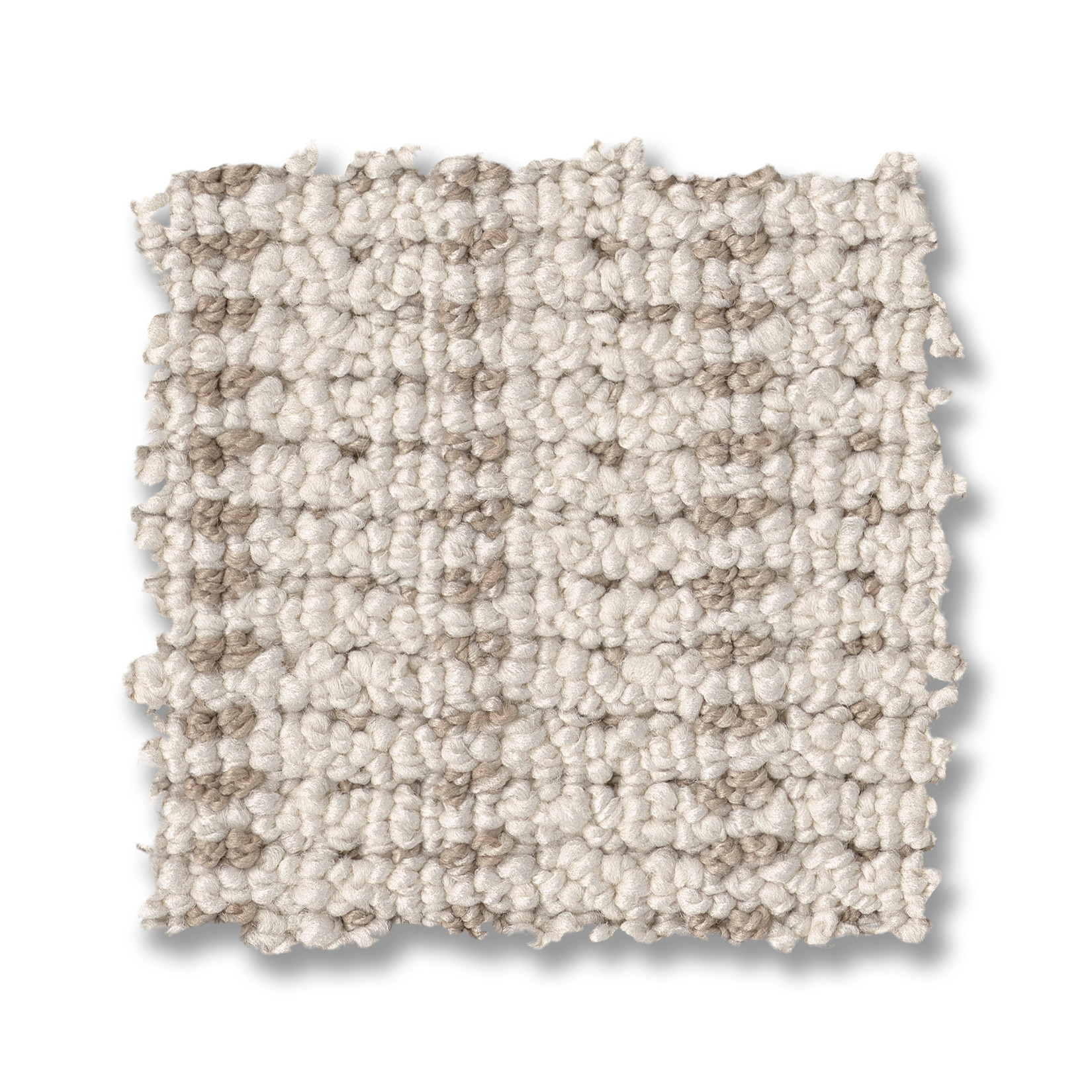 LAKEN SAND DOLLAR SWATCH