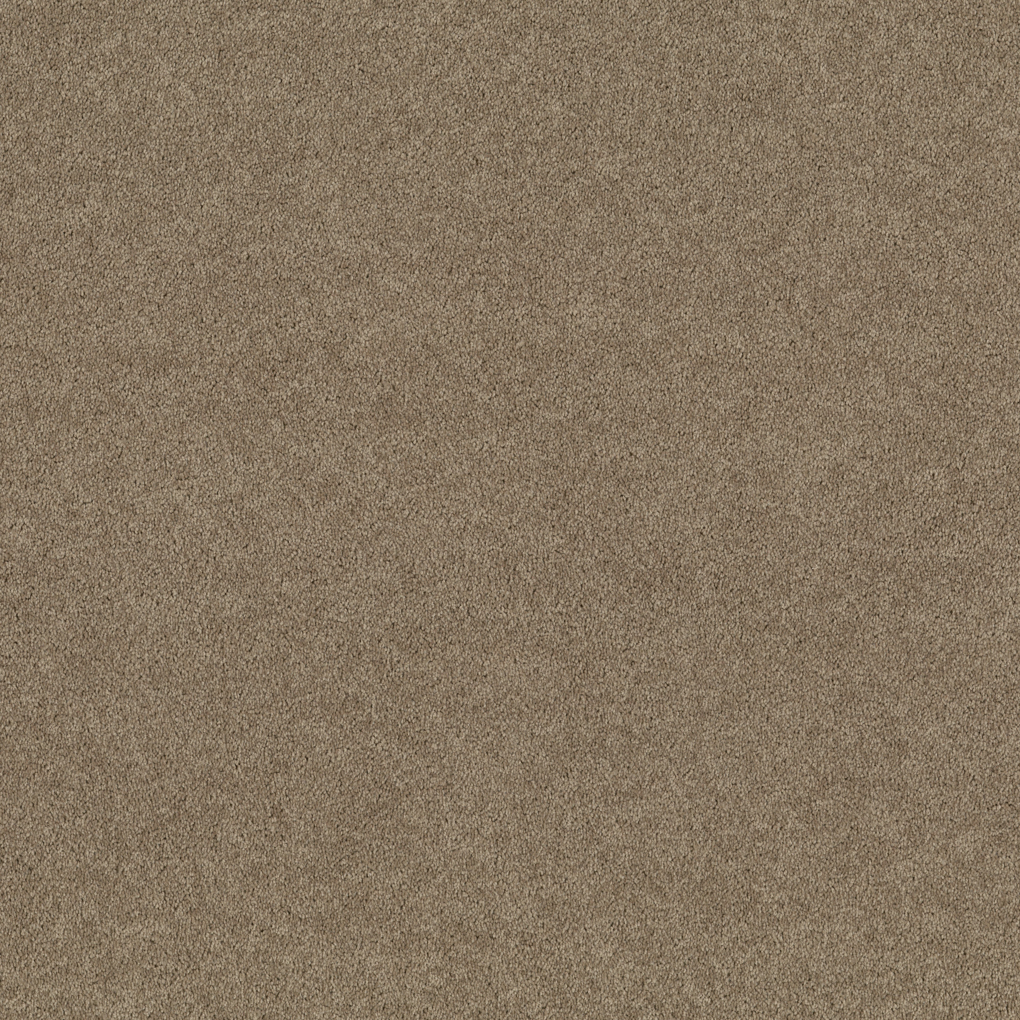 DYERSBURG CLASSIC 12' FOSSIL MAIN