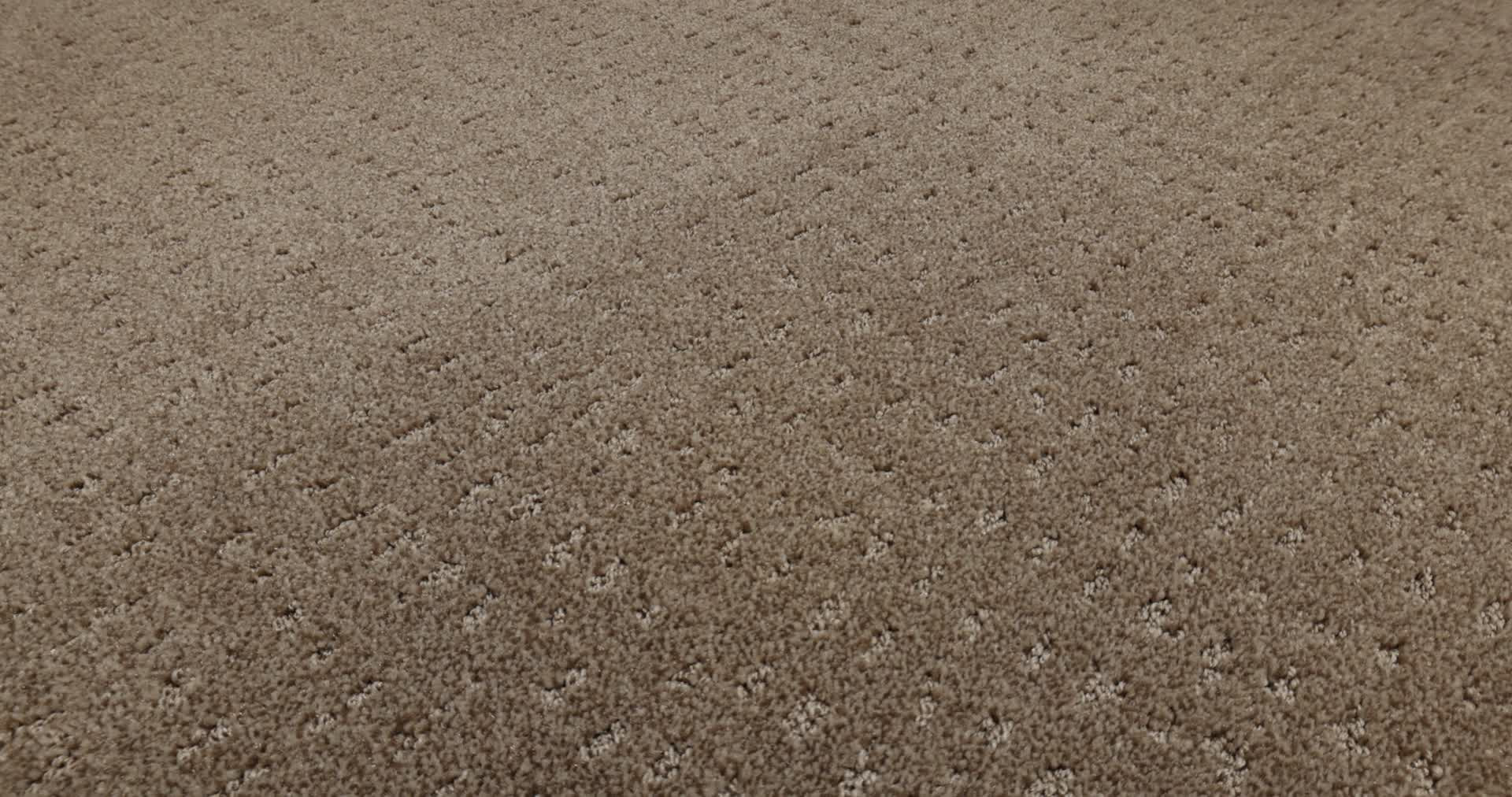 CHIC NUANCE RAW WOOD 360PROD