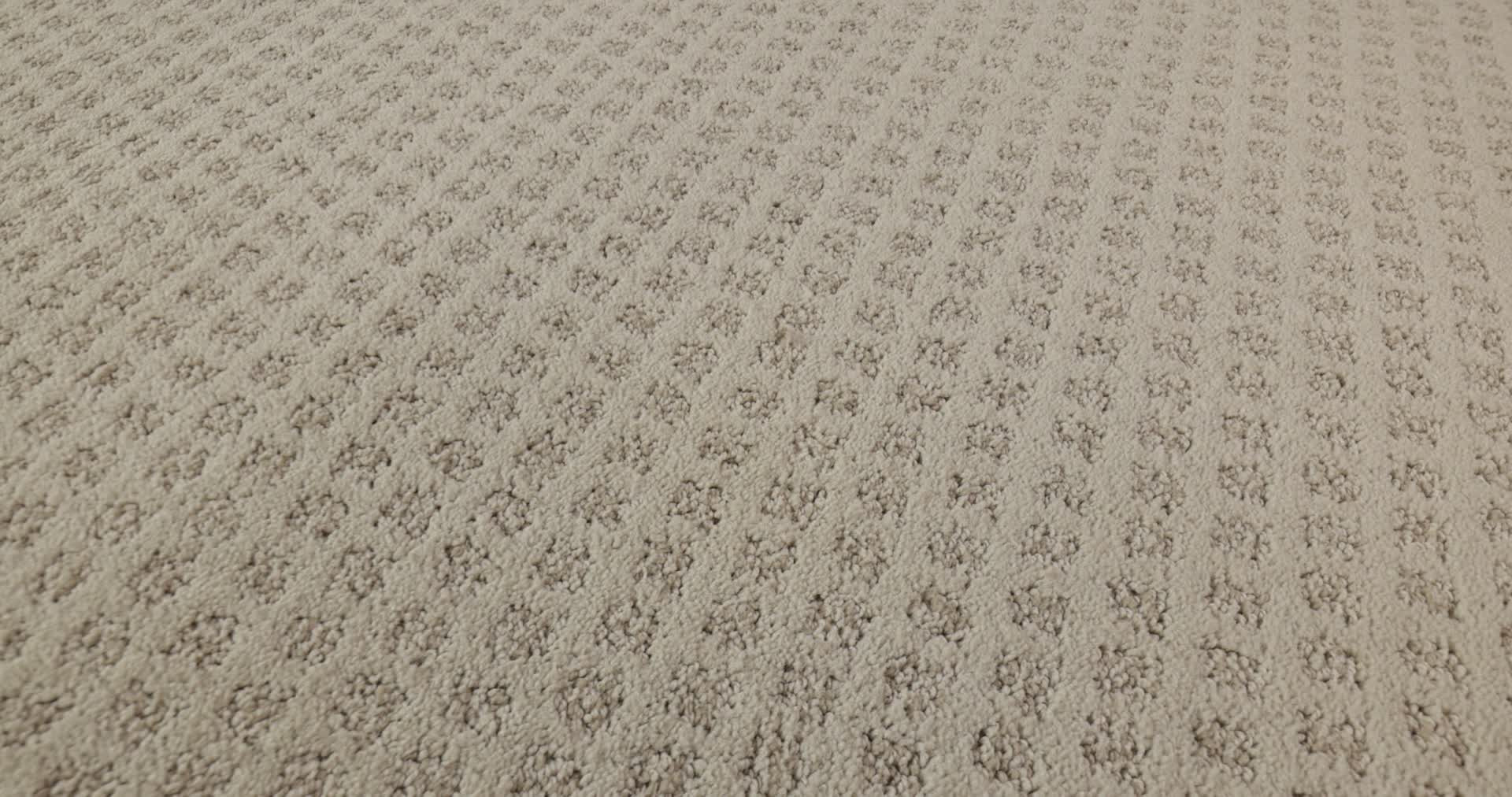 MY EXPRESSION YORKSHIRE 360PROD