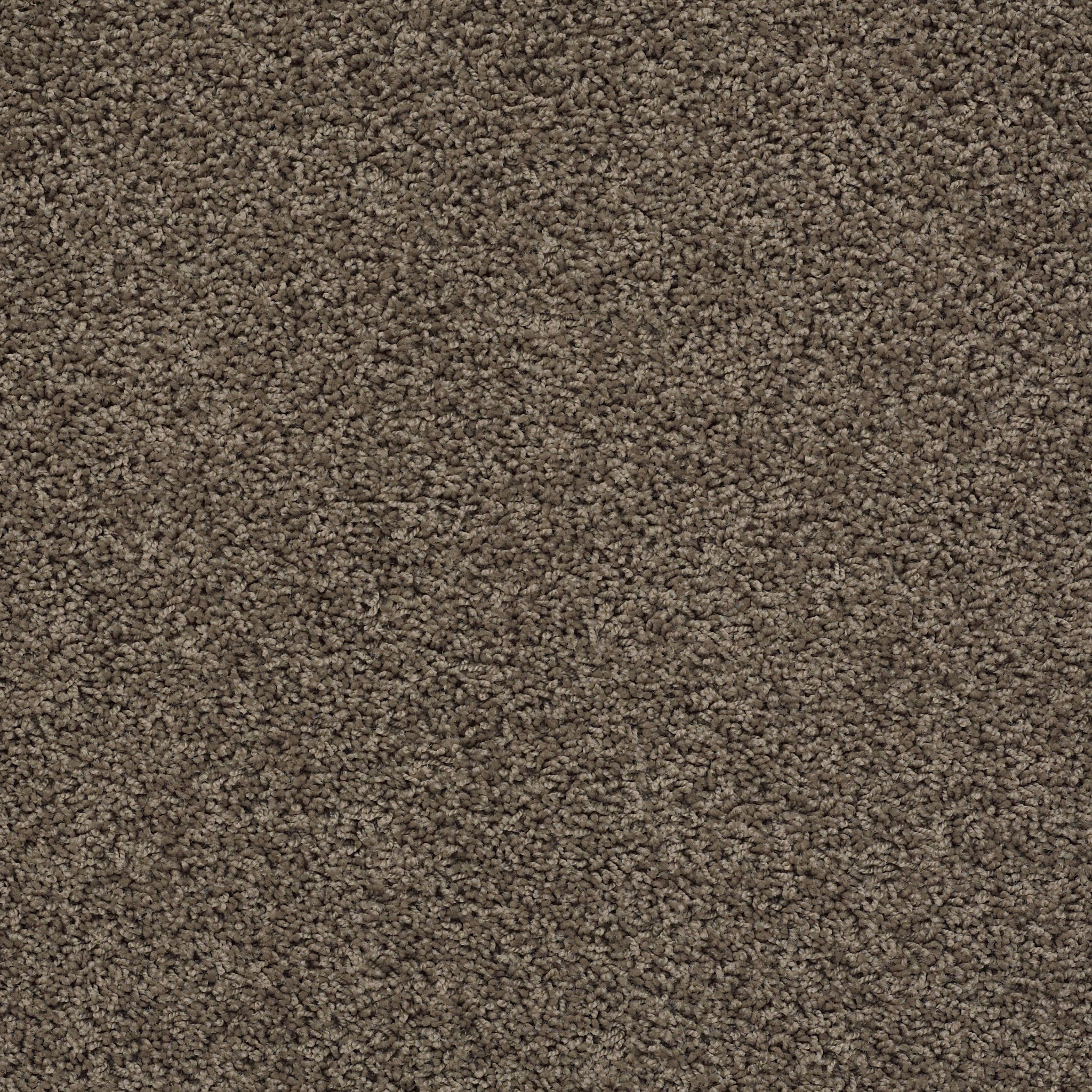 DEL MORRO SHADOW MAIN