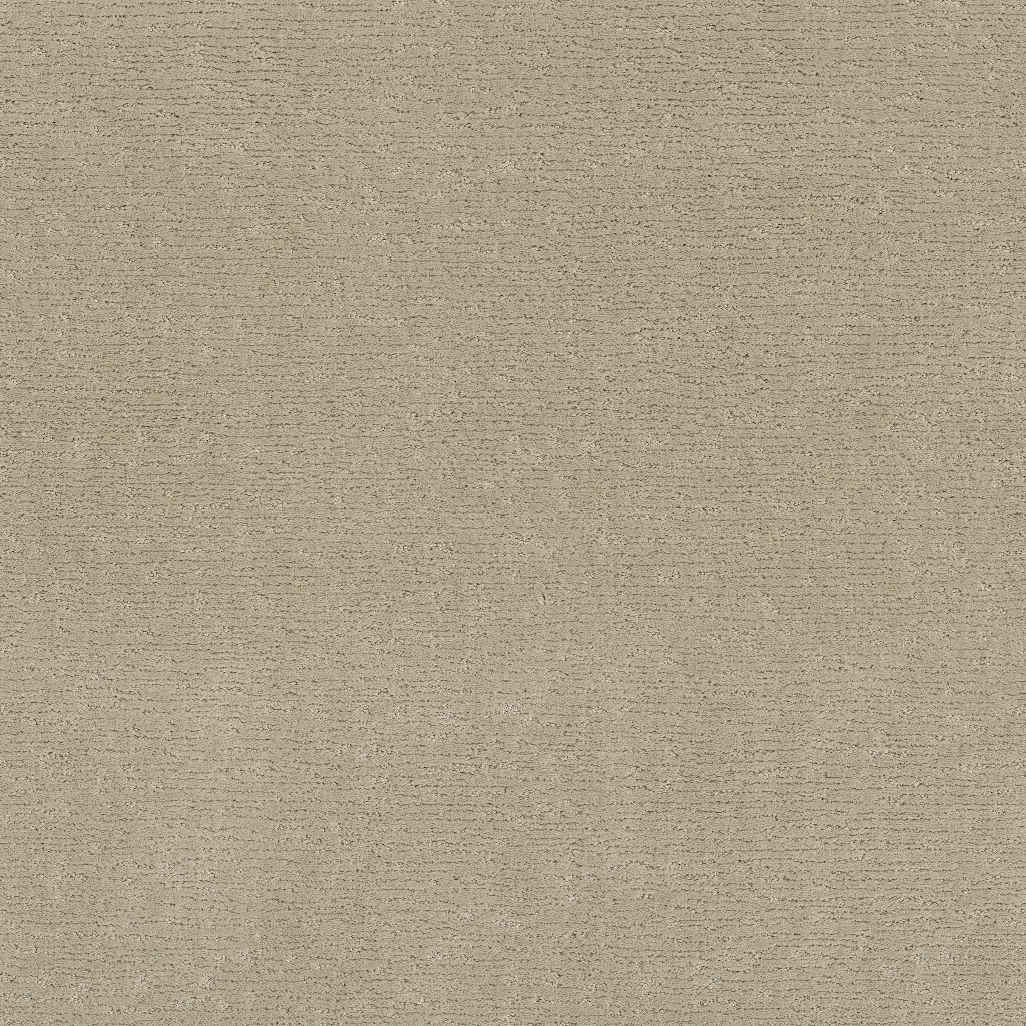 SKETCH MORNING LIGHT MAIN