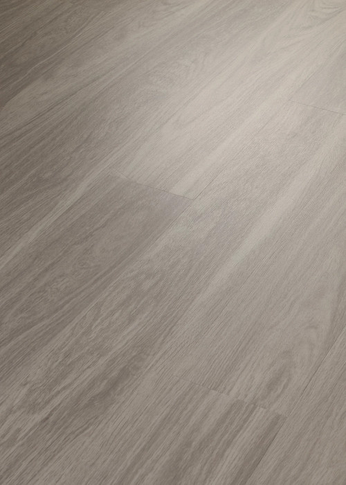 Shadow