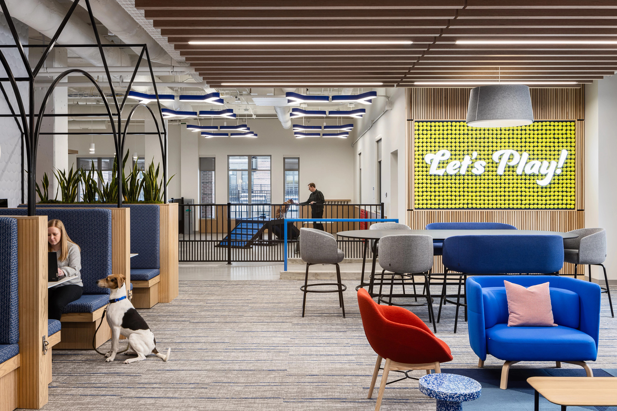 2024 Design Awards Best of Globe | ShawContract
