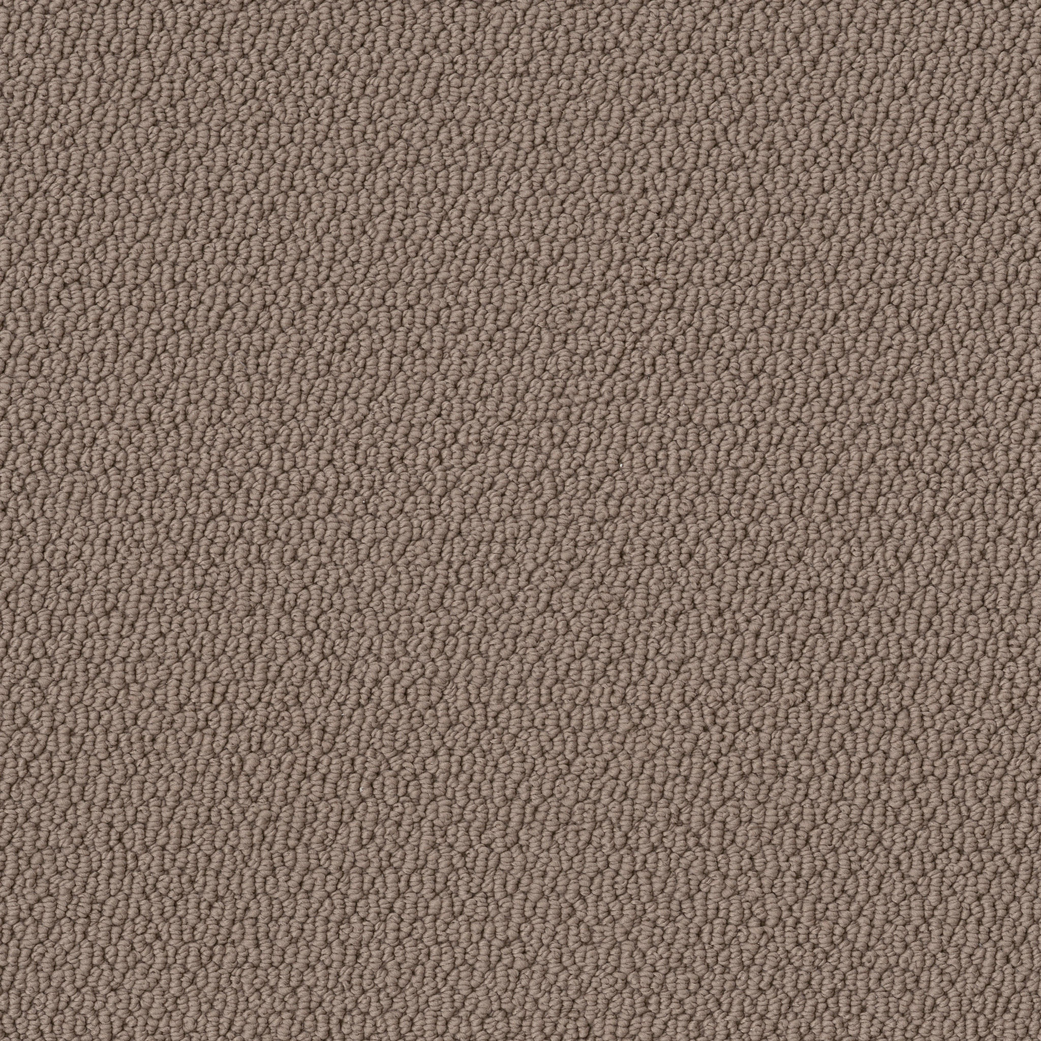 CHANNELING BIRD HOUSE MAIN