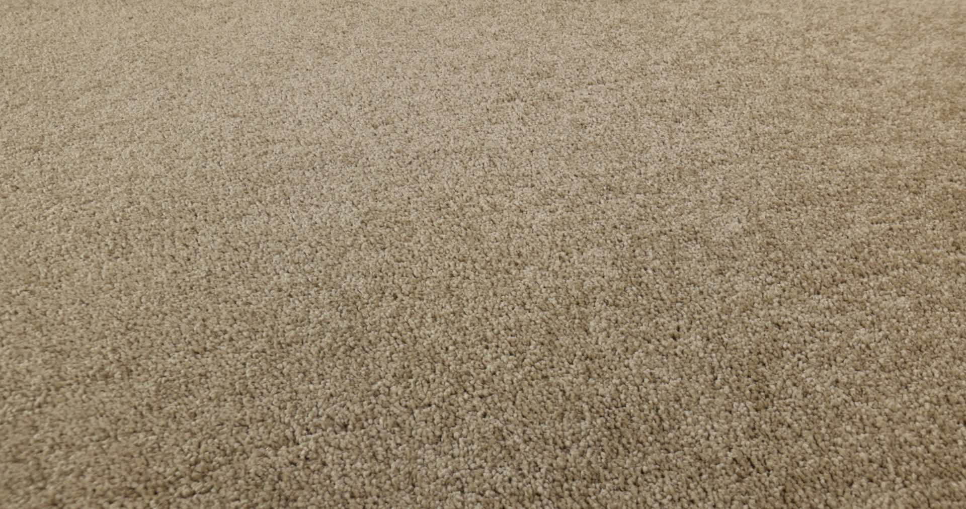 BASIC RULES GOLD RUSH 360PROD