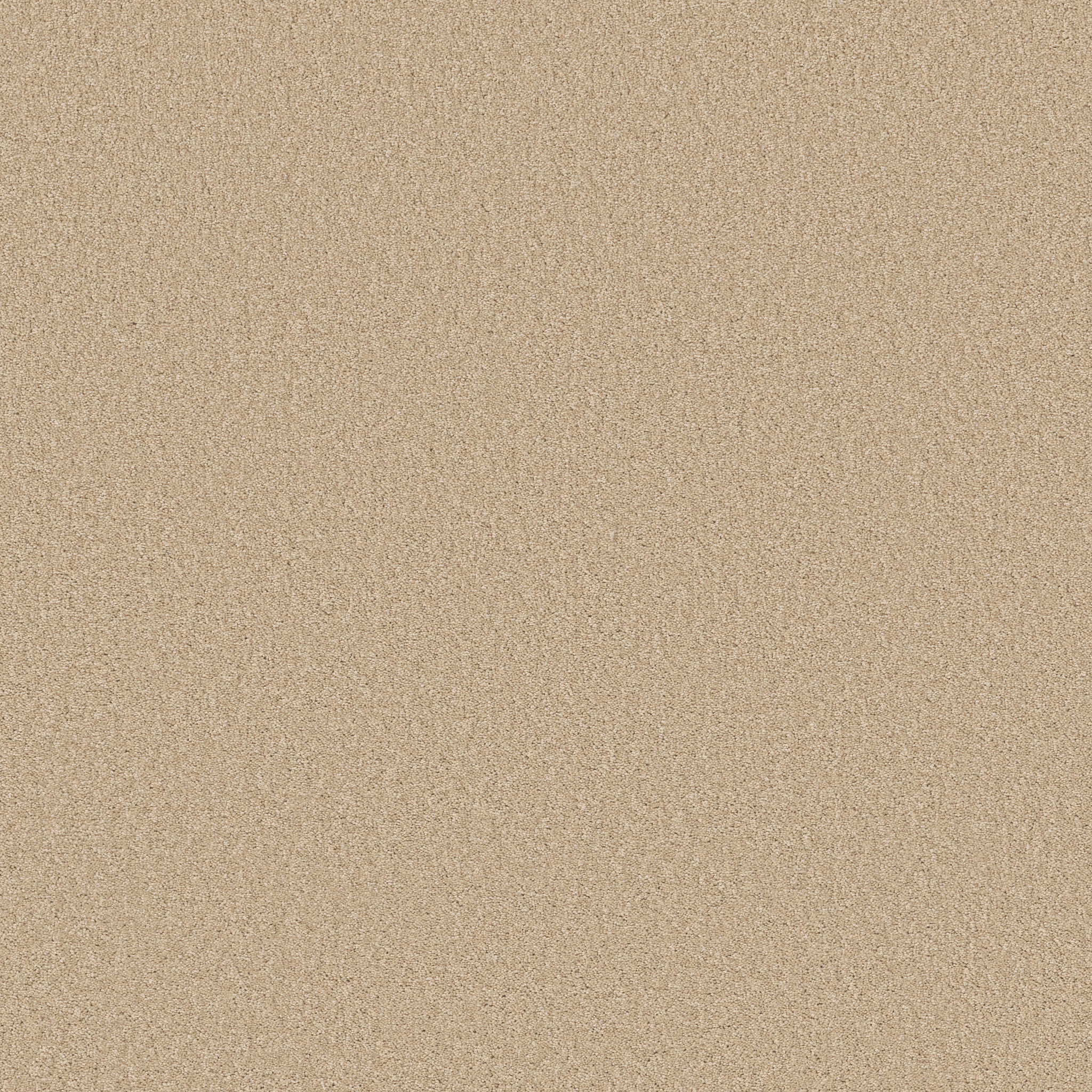 HONEST TO GOODNESS CREAM PUFF MAIN