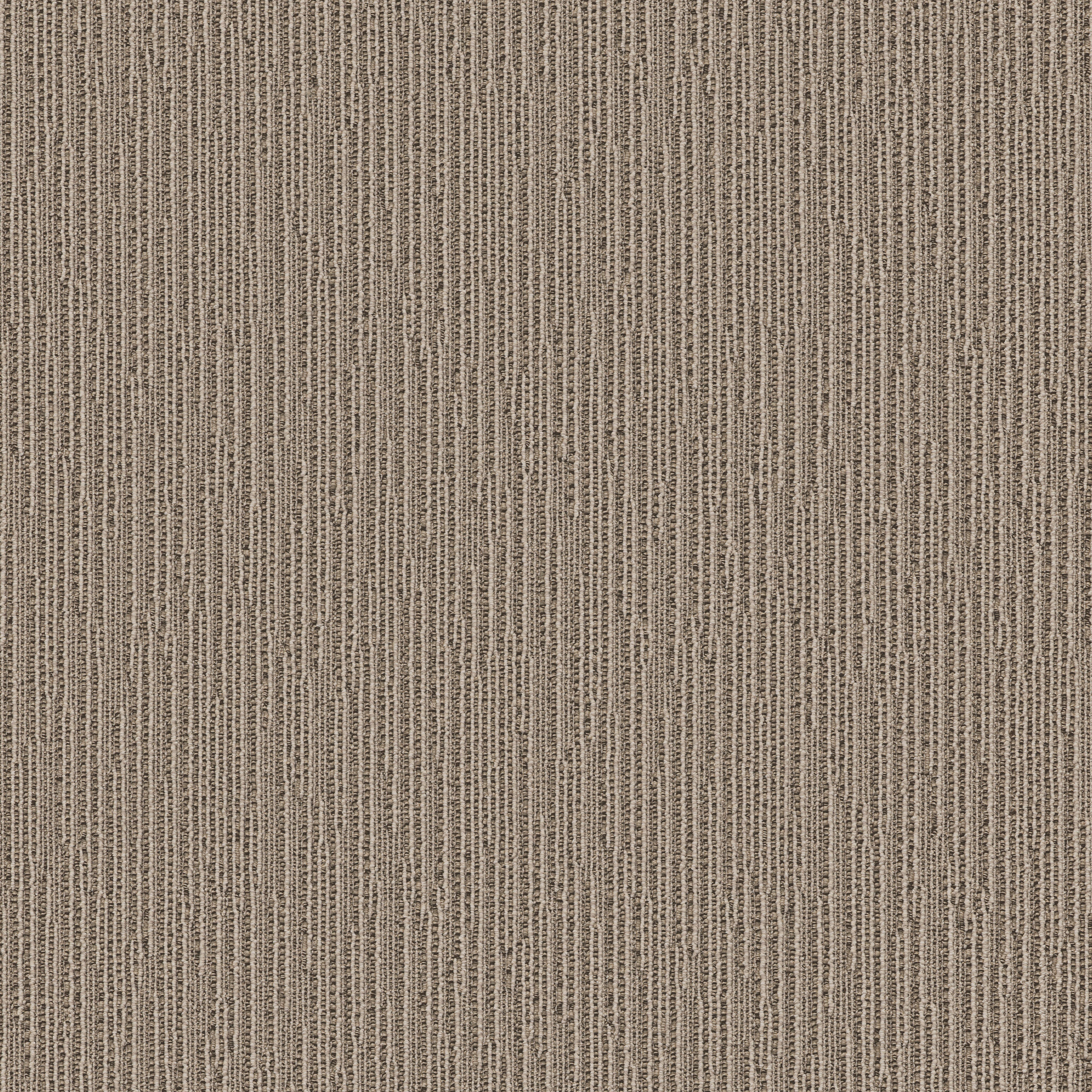 CHASE DESERT PALM MAIN