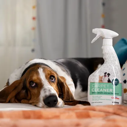 Floor Cleaners for Every Surface | Shaw Floors Floor Cleaners for Every Surface | Shaw Floors