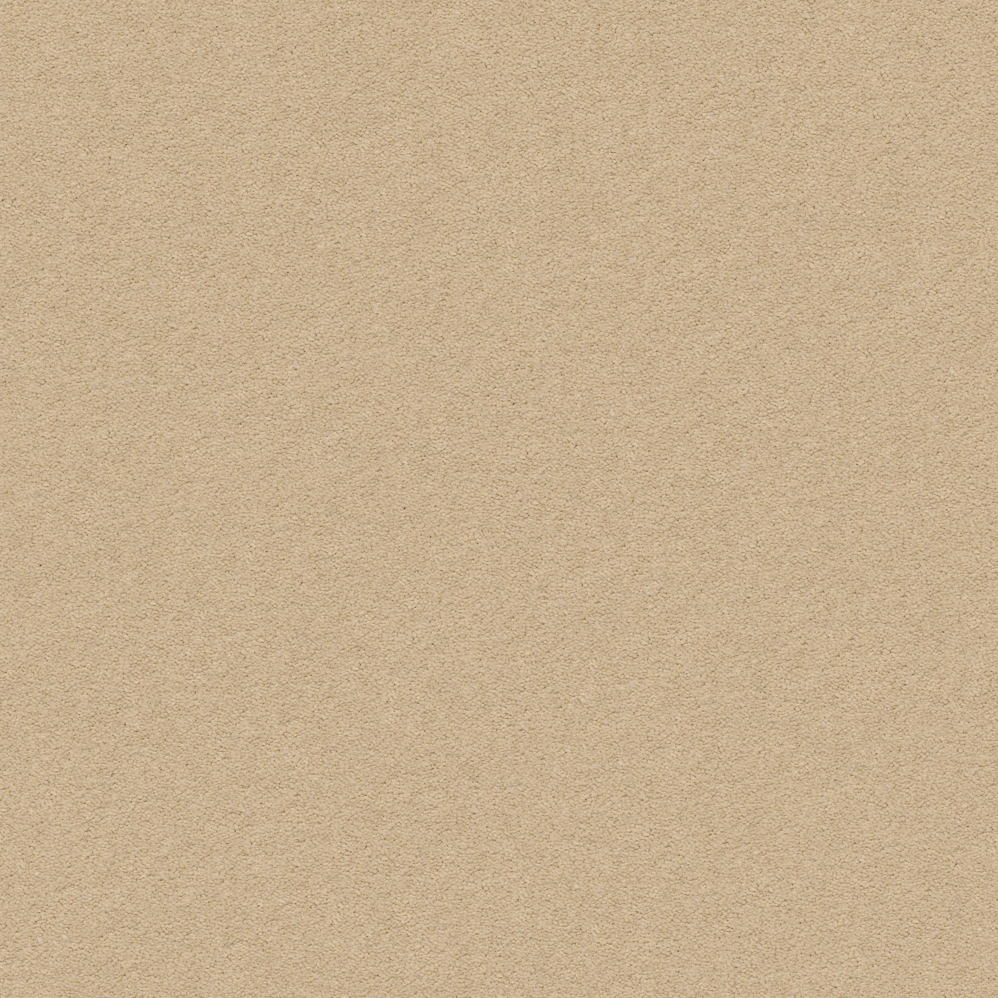 PERFECT CHOICE SUGAR COOKIE MAIN