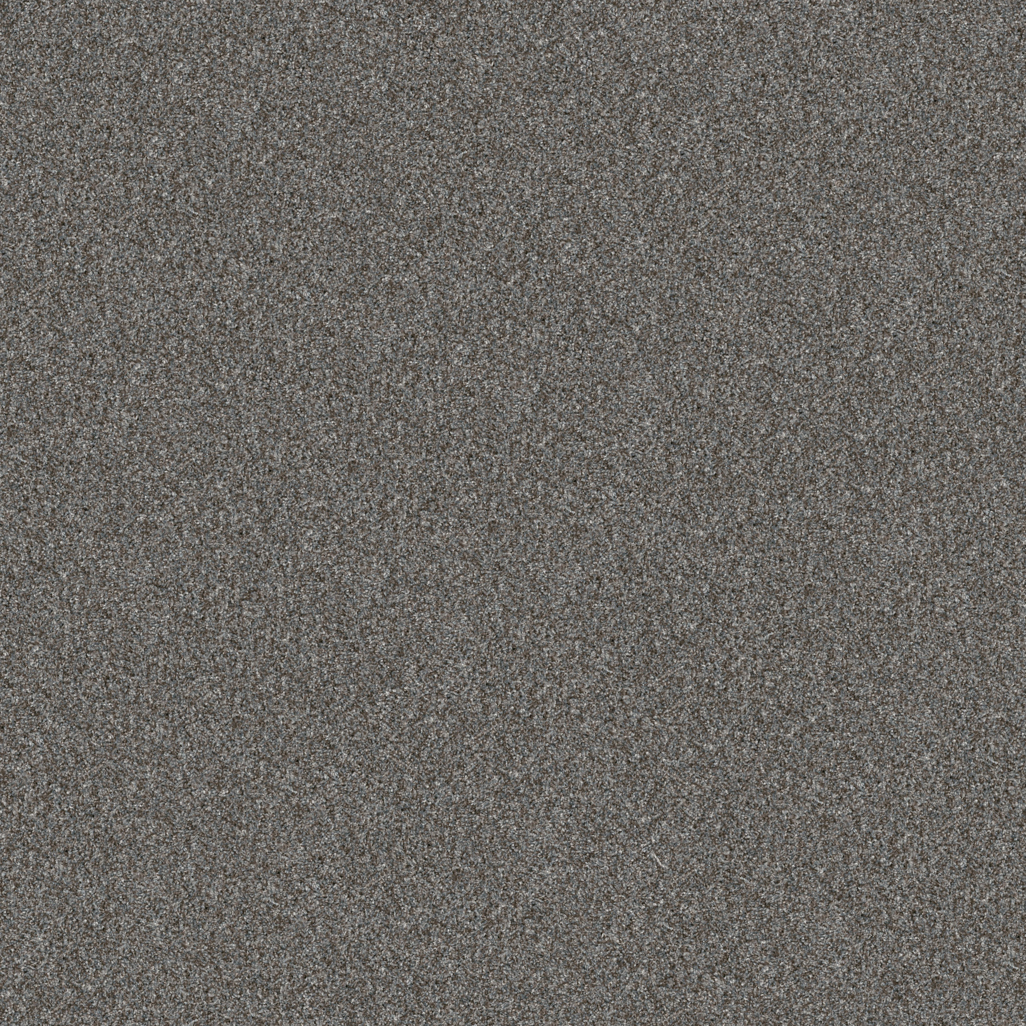 YES YOU CAN I 15' SEA ICE MAIN