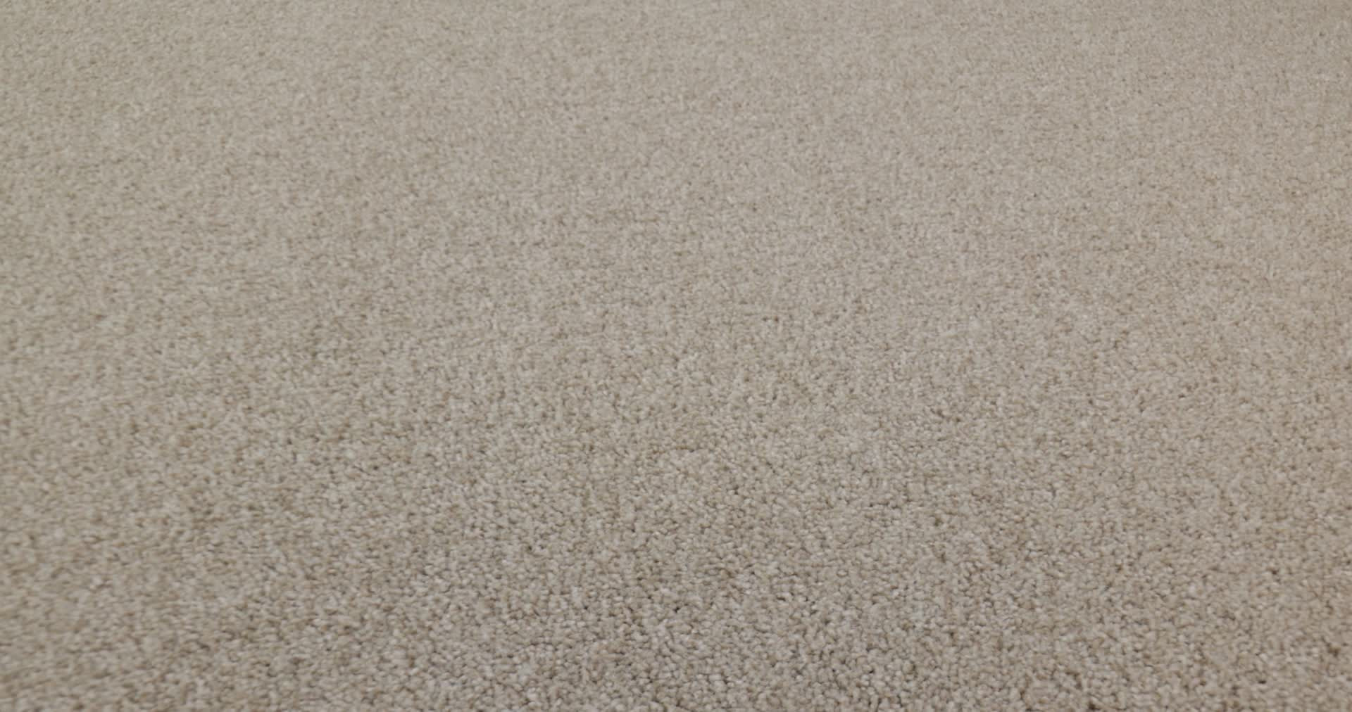 WONDERLAND II OUTER BANKS 360PROD