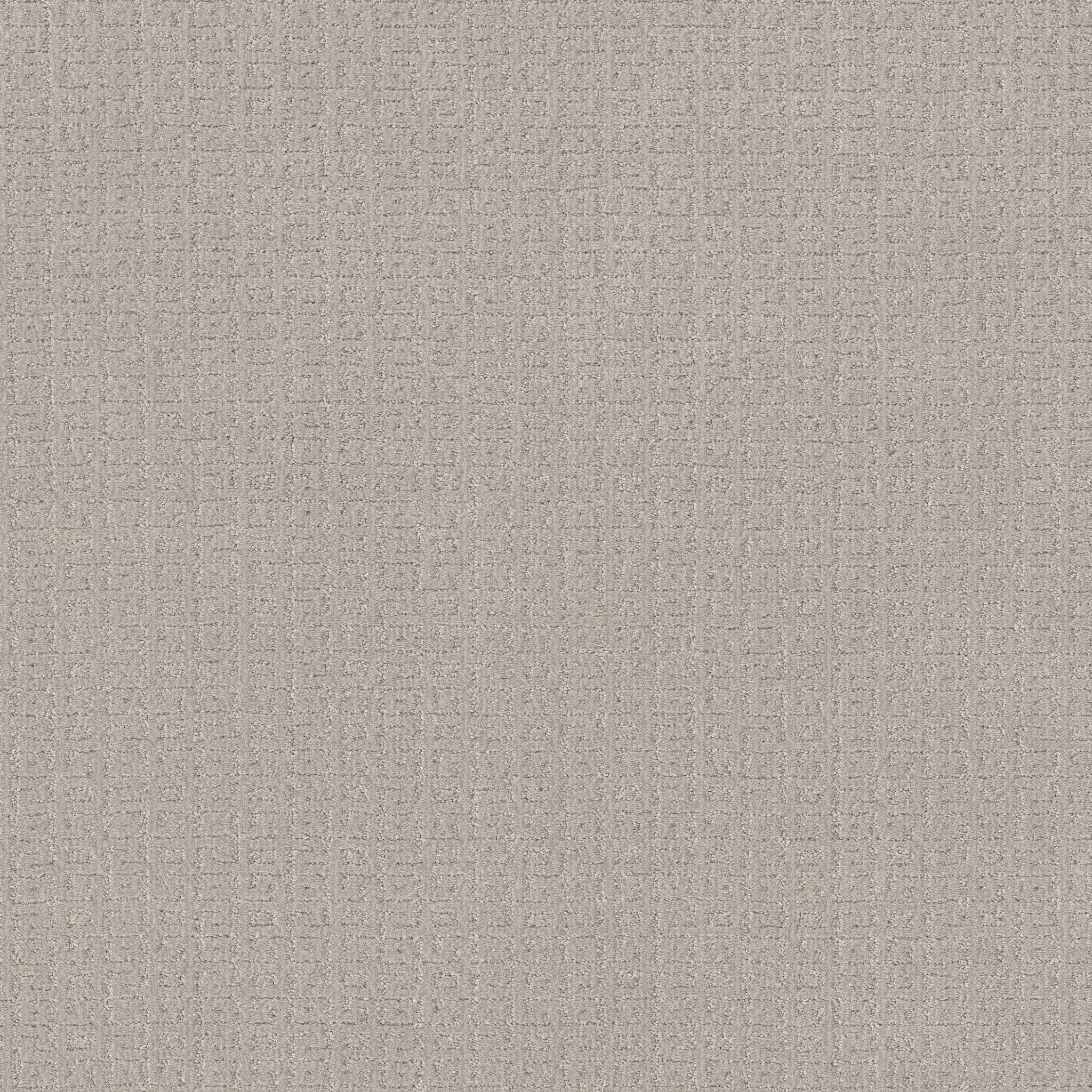 VIGNETTE WHISPER MAIN